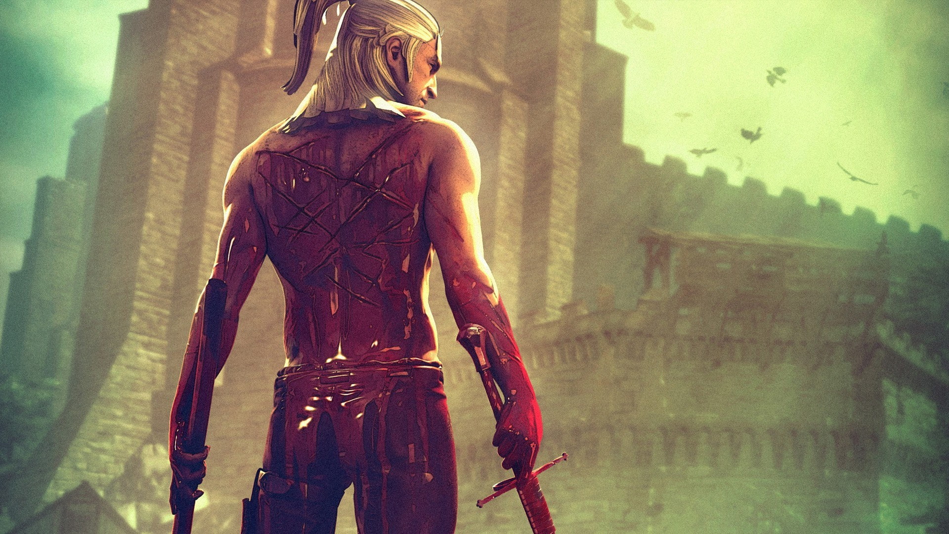 1080P, The Witcher 2: Assassins of Kings, HD Wallpaper