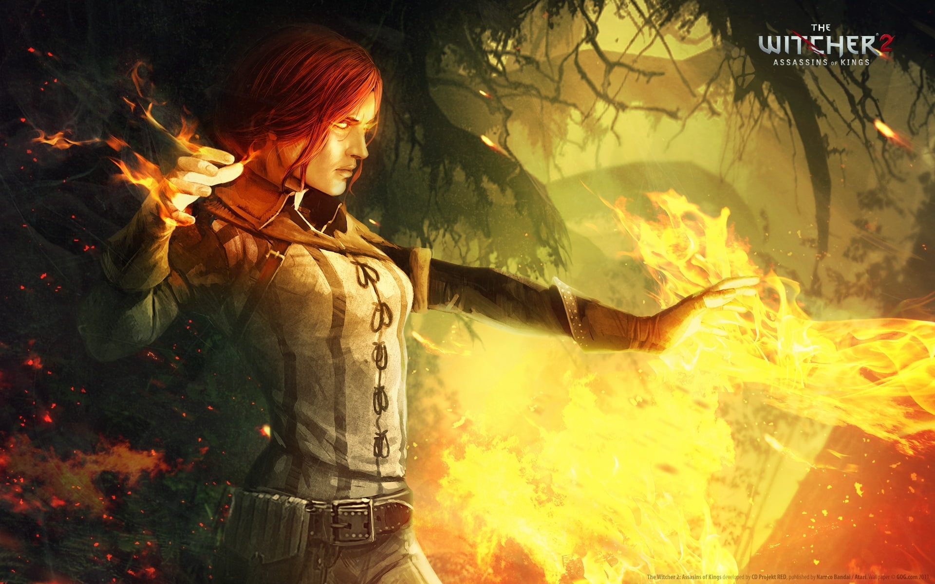 The Witcher 2: Assassins Of Kings, 1080P, The Witcher, HD Wallpaper