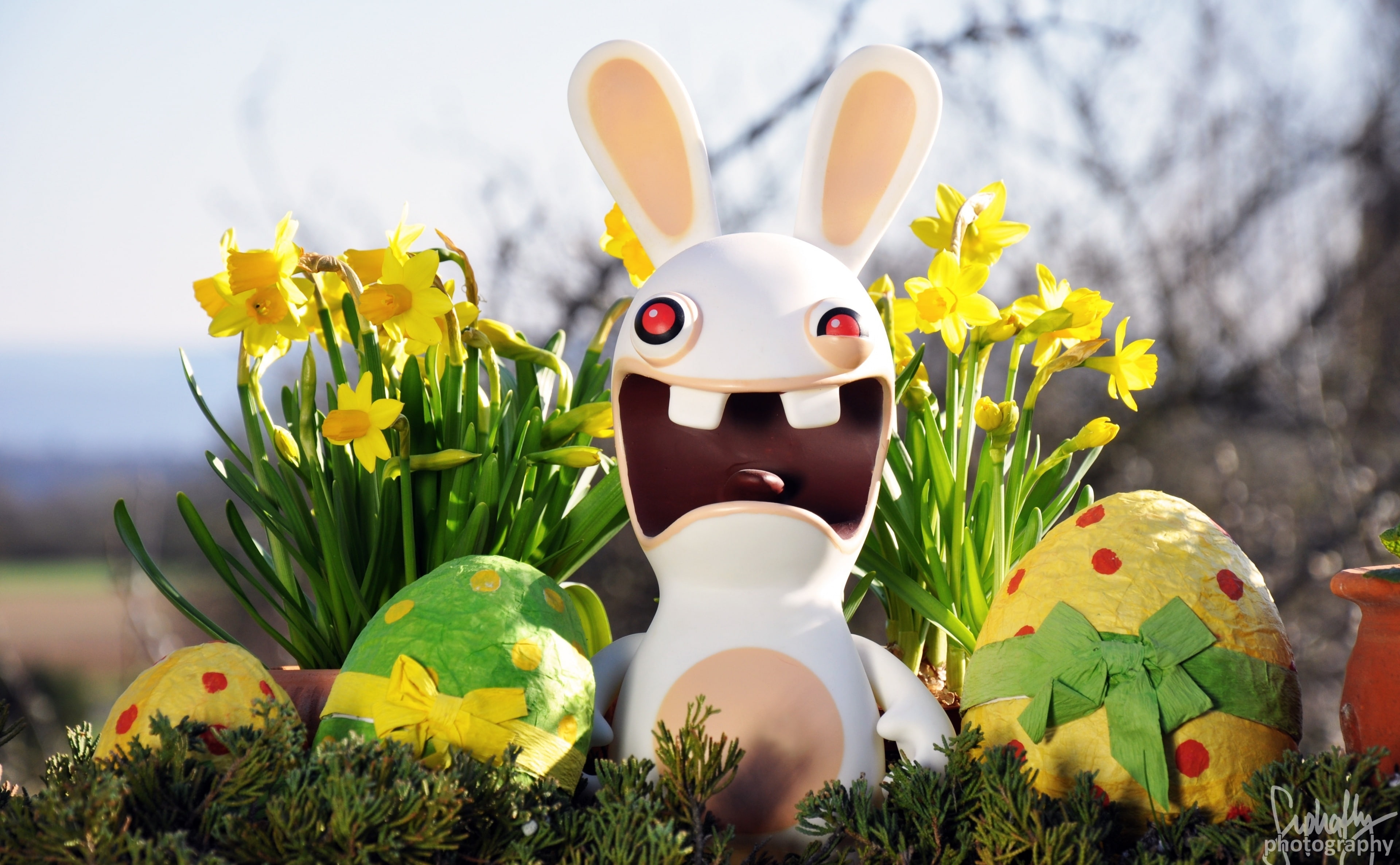 representation, art and craft, animal representation, still life, rabbit, figurine, outdoors, Funny, Holidays, easter bunny, flowering plant, nature, no people, HD Wallpaper