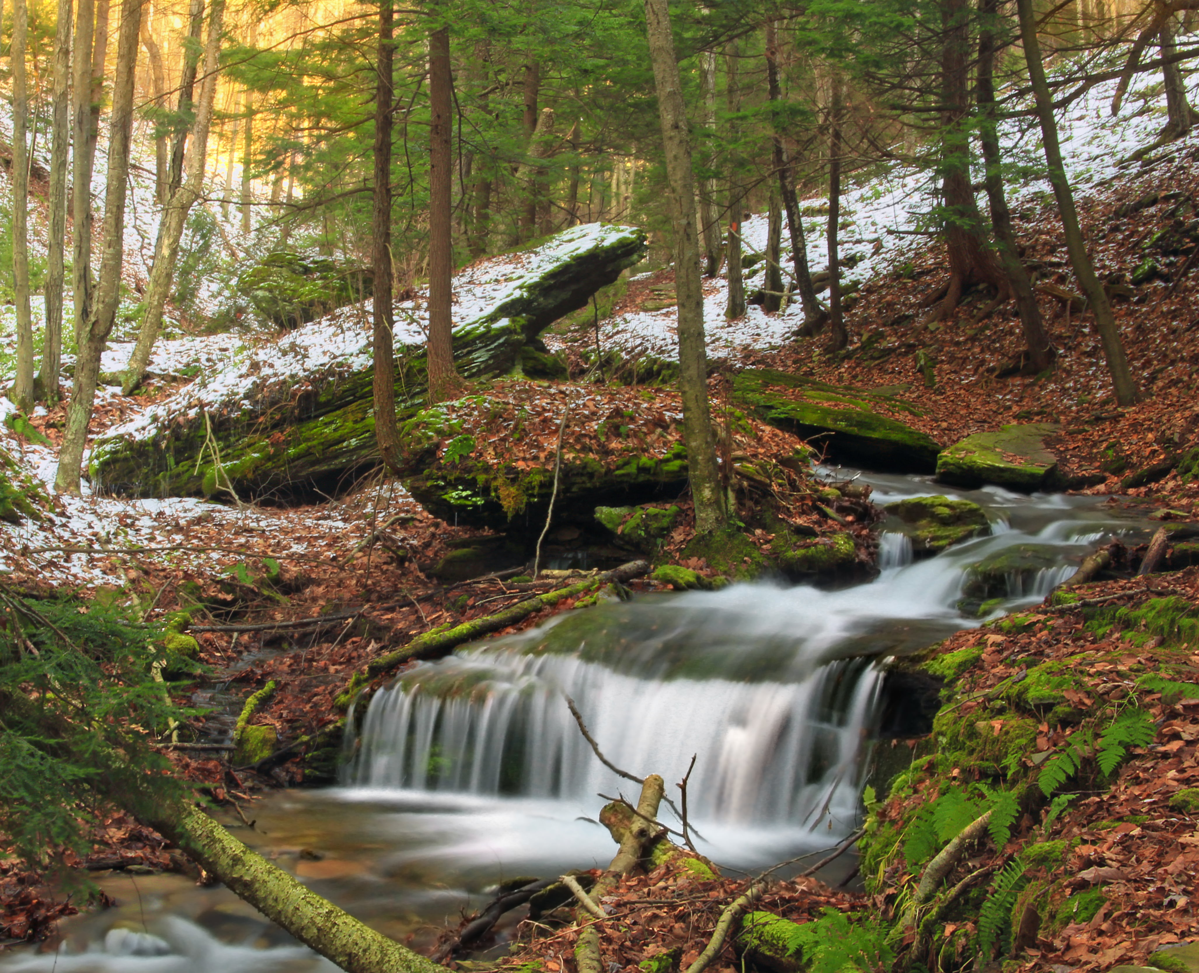 ravine, landscape, cascades  waterfall, eastern hemlocks, snow, time lapse, lapse, green Color, stream, rocks, scenics, Run  Wolf Run, freshness, Watercourse, HD Wallpaper