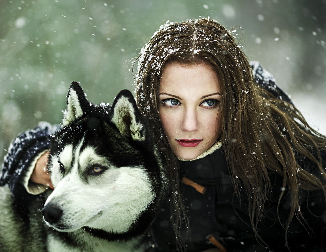 animal, young adult, brunette, clothing, animal themes, wet hair, real people, black coat, wolf, Siberian Husky, red lipstick, women, snow, outdoors, domestic animals, HD Wallpaper
