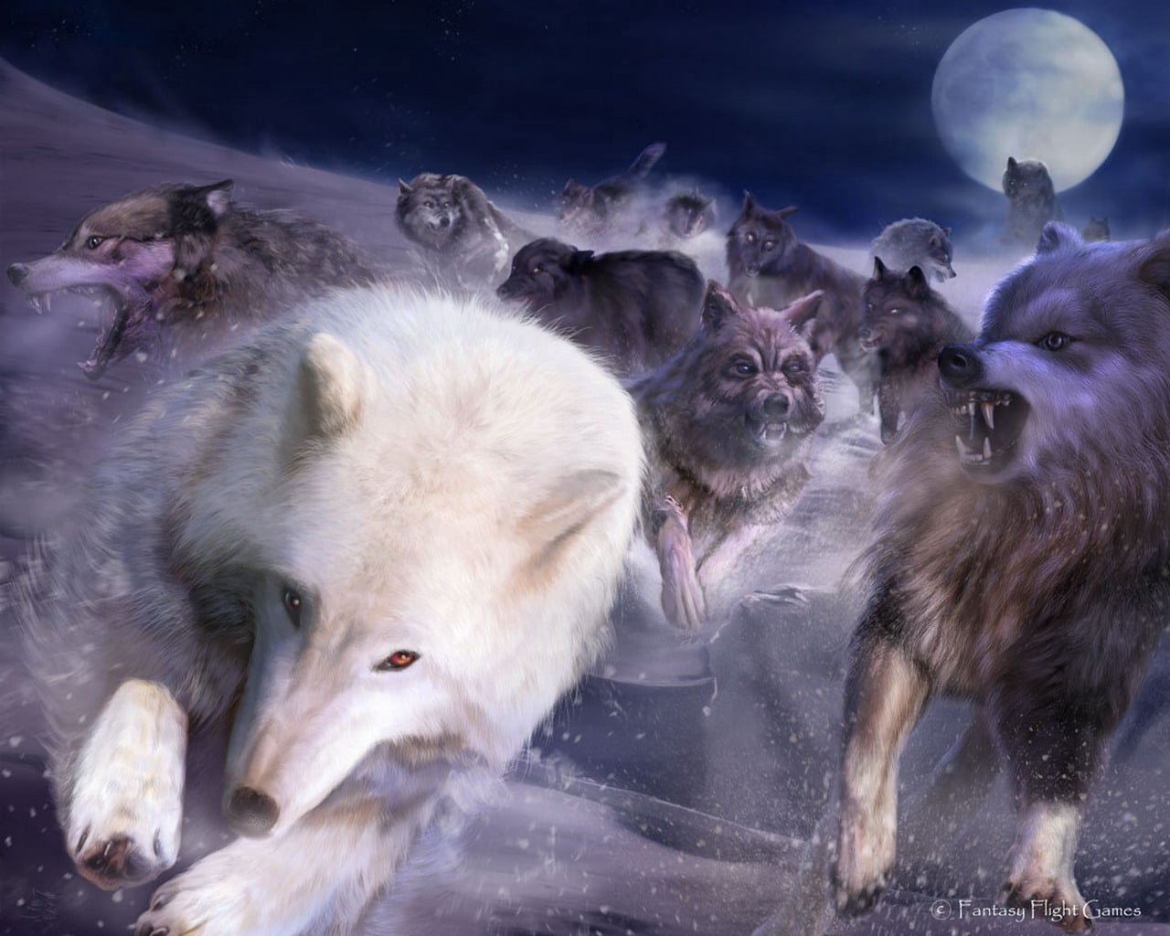 pets, animal themes, moon, wolf, carnivore, motion, white, outdoors, dog, animal wildlife, polar bear, wolves, 720P, wildlife, arctic, fur, animal Eye, HD Wallpaper