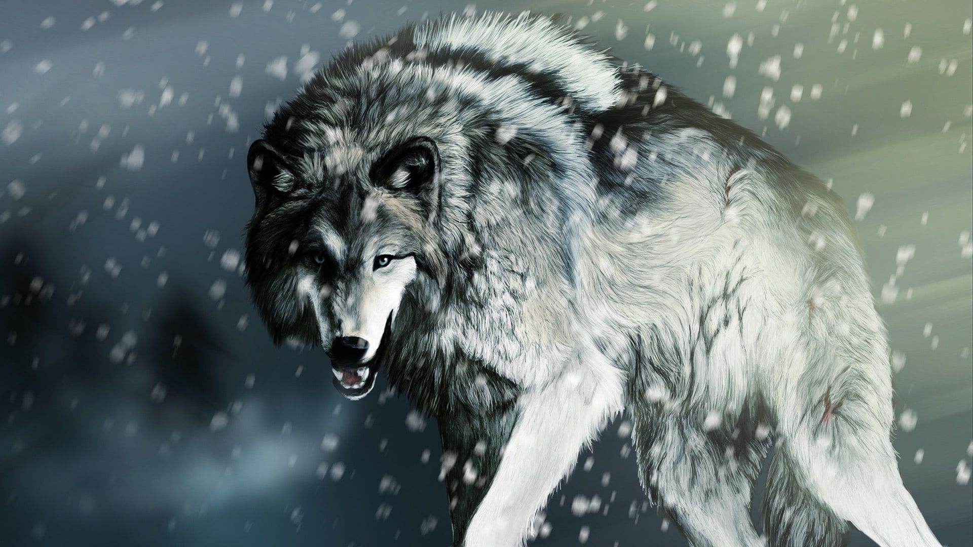 1080P, canine, timber wolf, animal, predator, wolf, black, malamute, animals, HD Wallpaper