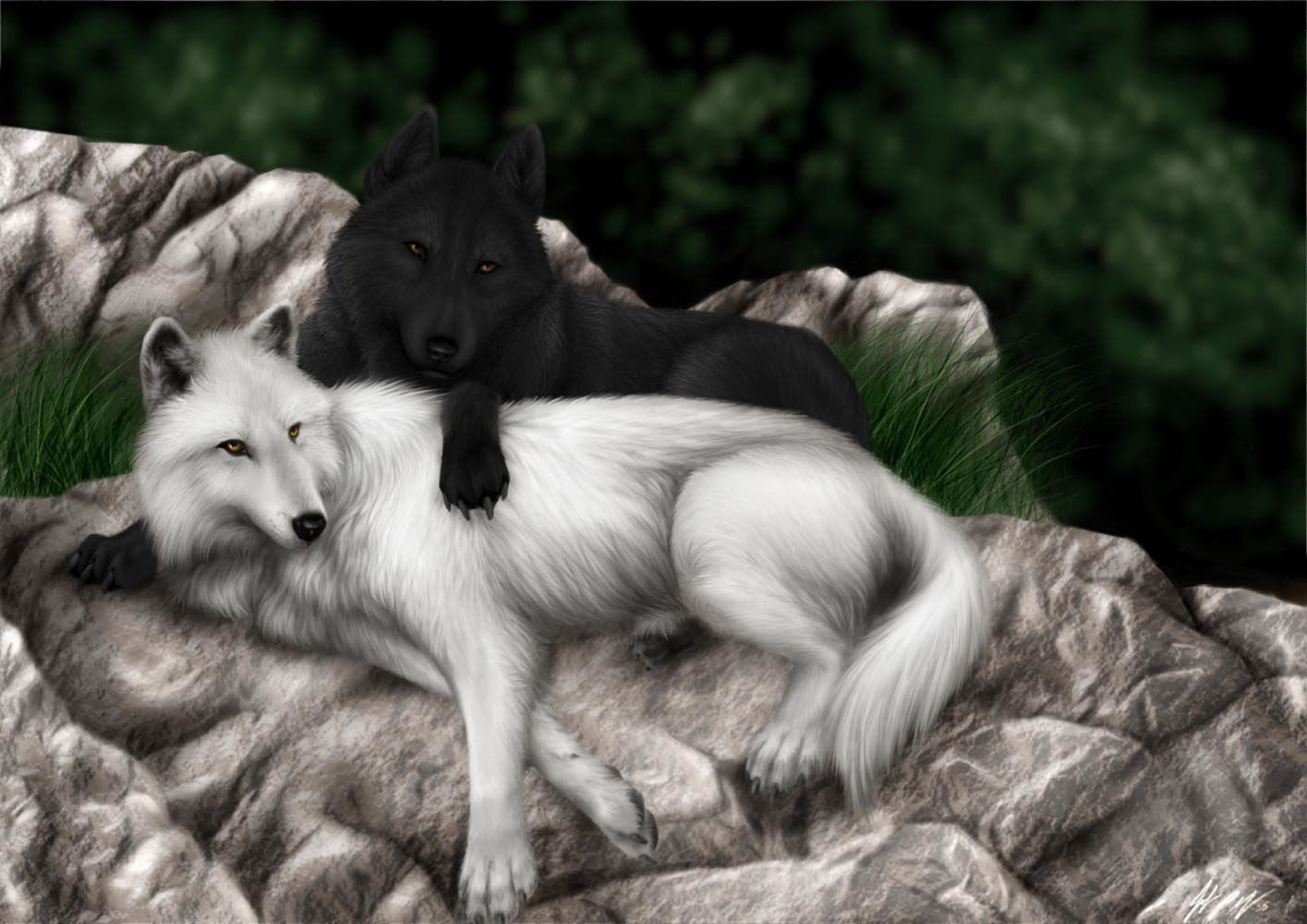 vertebrate, two animals, relaxation, illustration, young animal, nature, animal family, dog, focus on foreground, canine, pets, no people, animal themes, HD Wallpaper