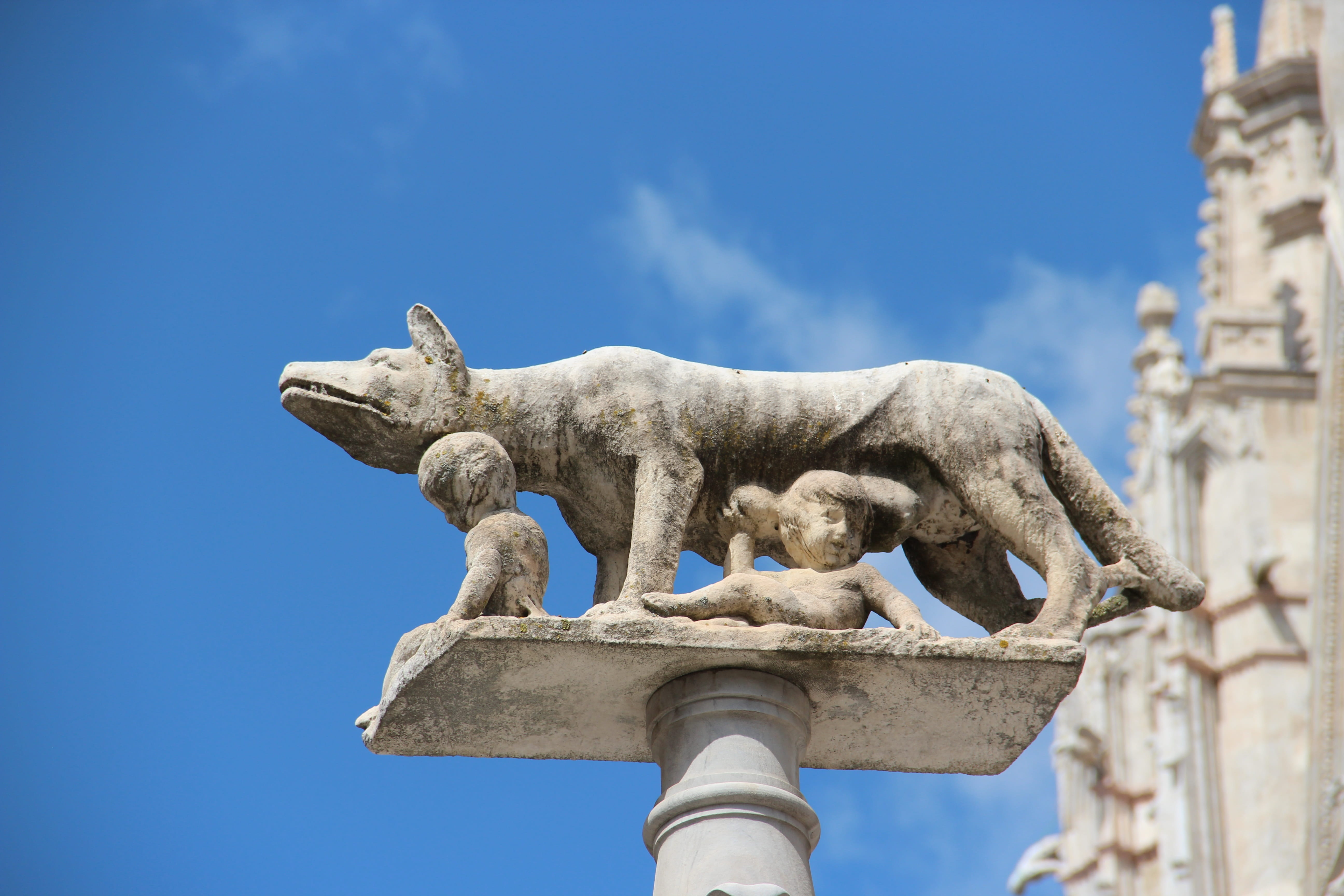 no people, architectural column, tuscany, travel, travel destinations, human representation, column, ancient, low angle view, day, history, archaeology, HD Wallpaper