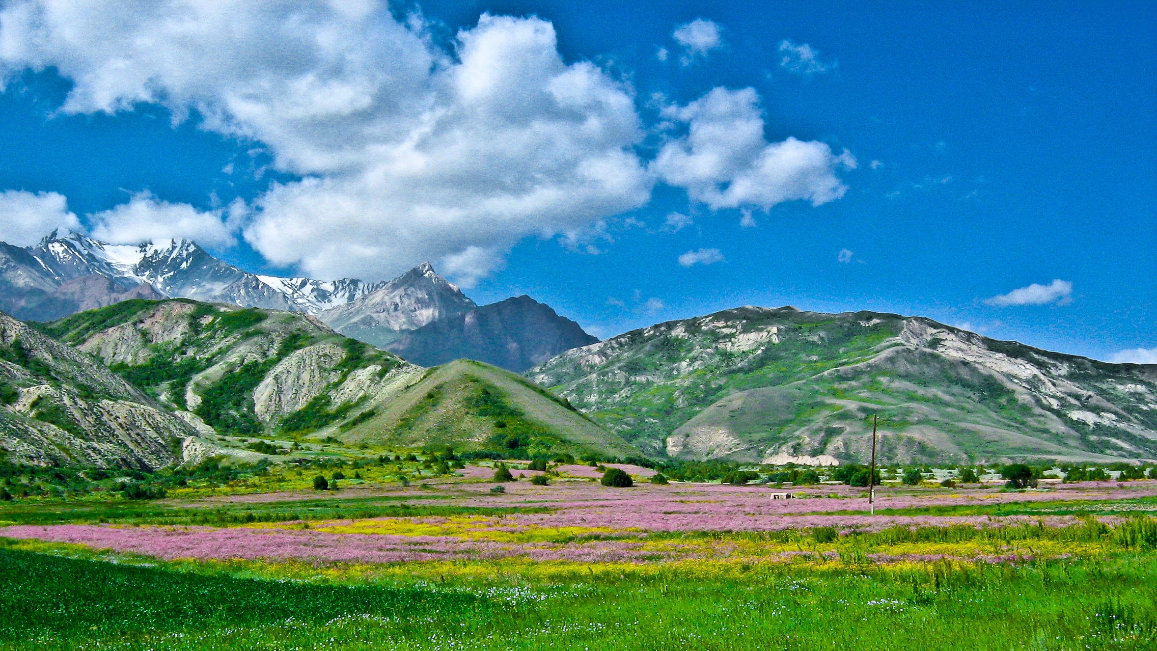beauty In Nature, grass, scenics, european Alps, green Color, formation, scenics - nature, summer, rock - Object, nature, pasture, idyllic, sky, plant, HD Wallpaper