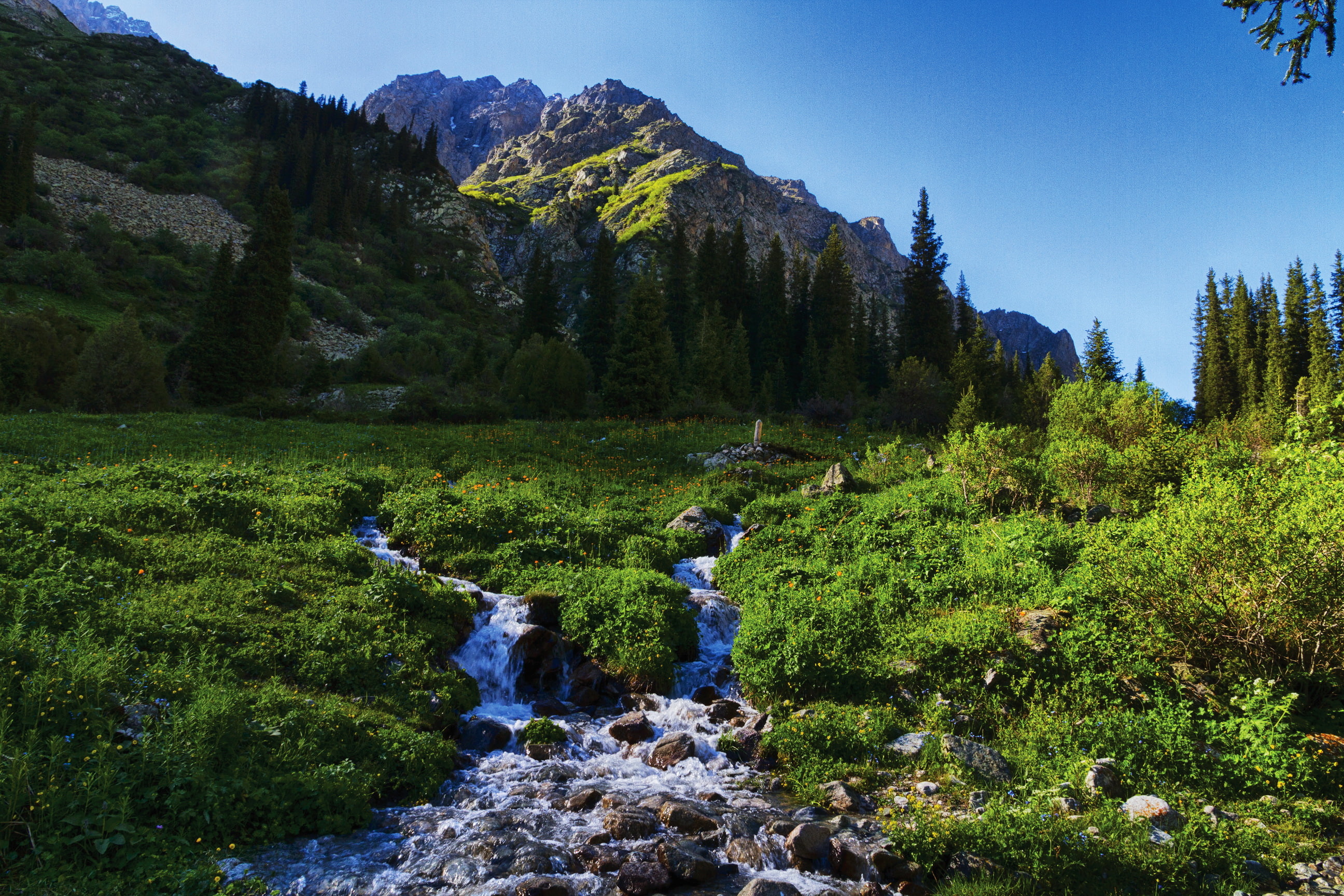 nature, mountains, stream, tian, shan, 2K, scenery, kyrgyzstan, grass, HD Wallpaper