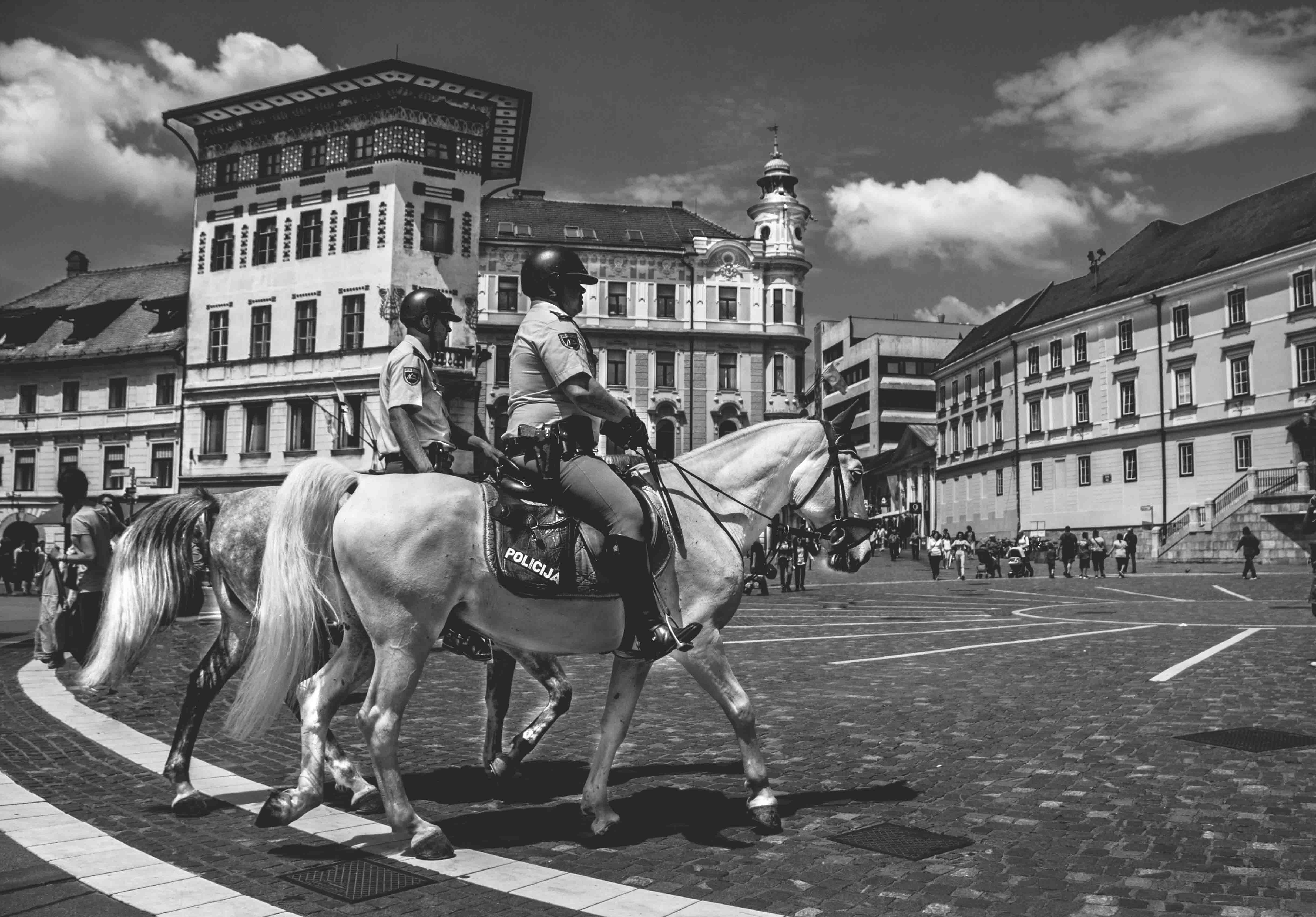 grayscale, animal wildlife, people, still, two, riding, architecture, person, domestic animals, police, vertebrate, men, group of animals, horseback riding, HD Wallpaper