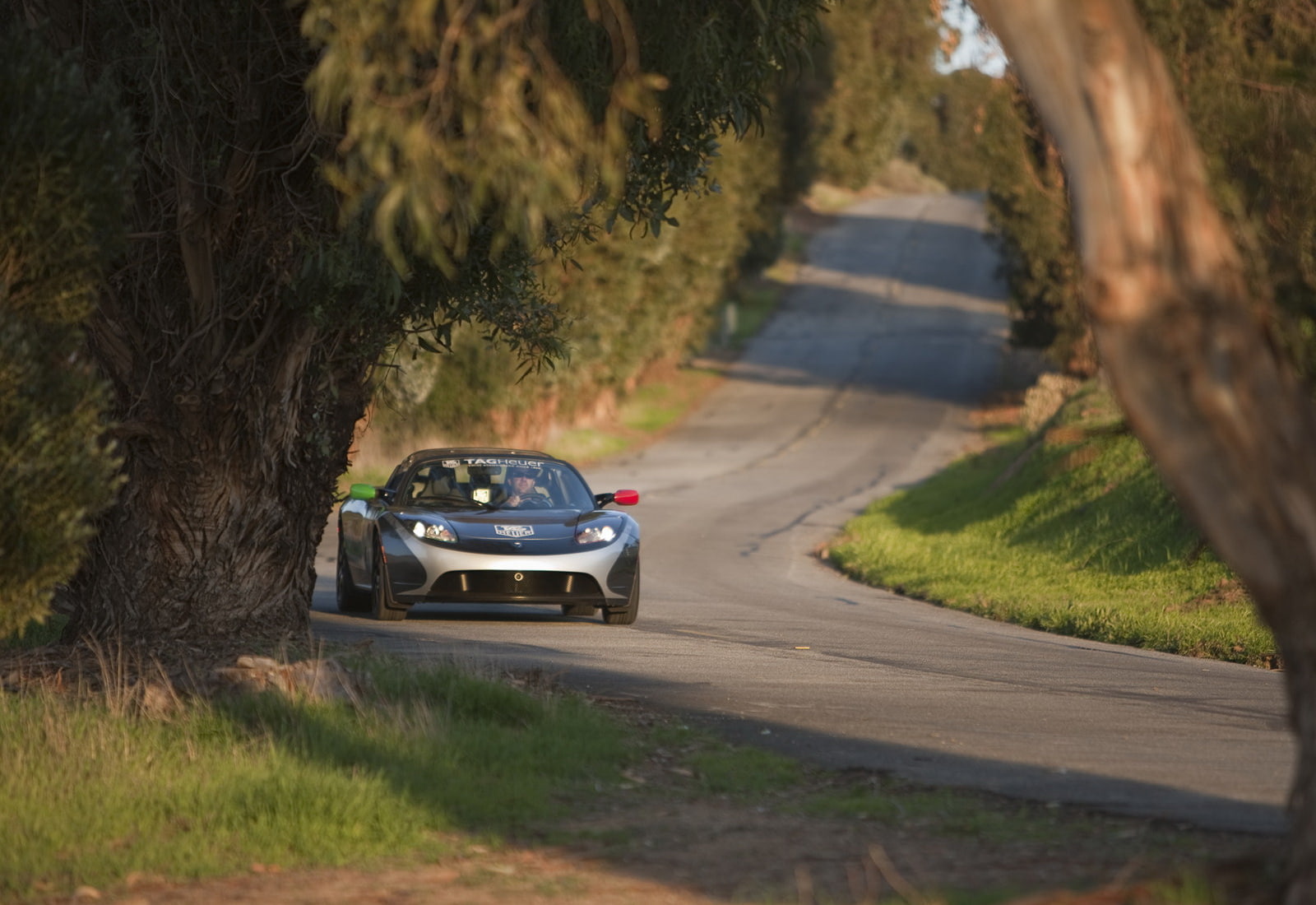 on the move, tesla, growth, land, motor vehicle, road trip, non-urban scene, mode of transportation, (2010), land vehicle, car, tree, heuer, motion, day, HD Wallpaper