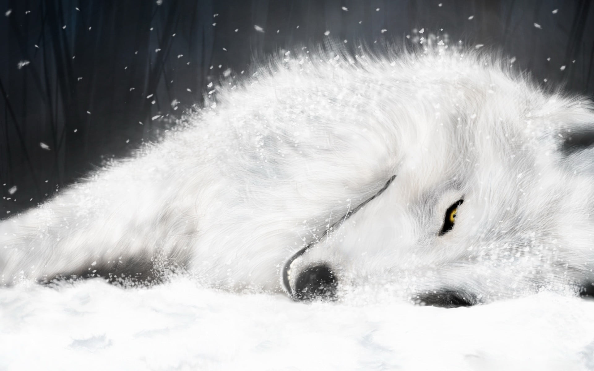 pets, domestic, vertebrate, animal themes, one animal, canine, no people, wolf, illustration, animal, close-up, dog, white color, mammal, whisker, animal body part, HD Wallpaper