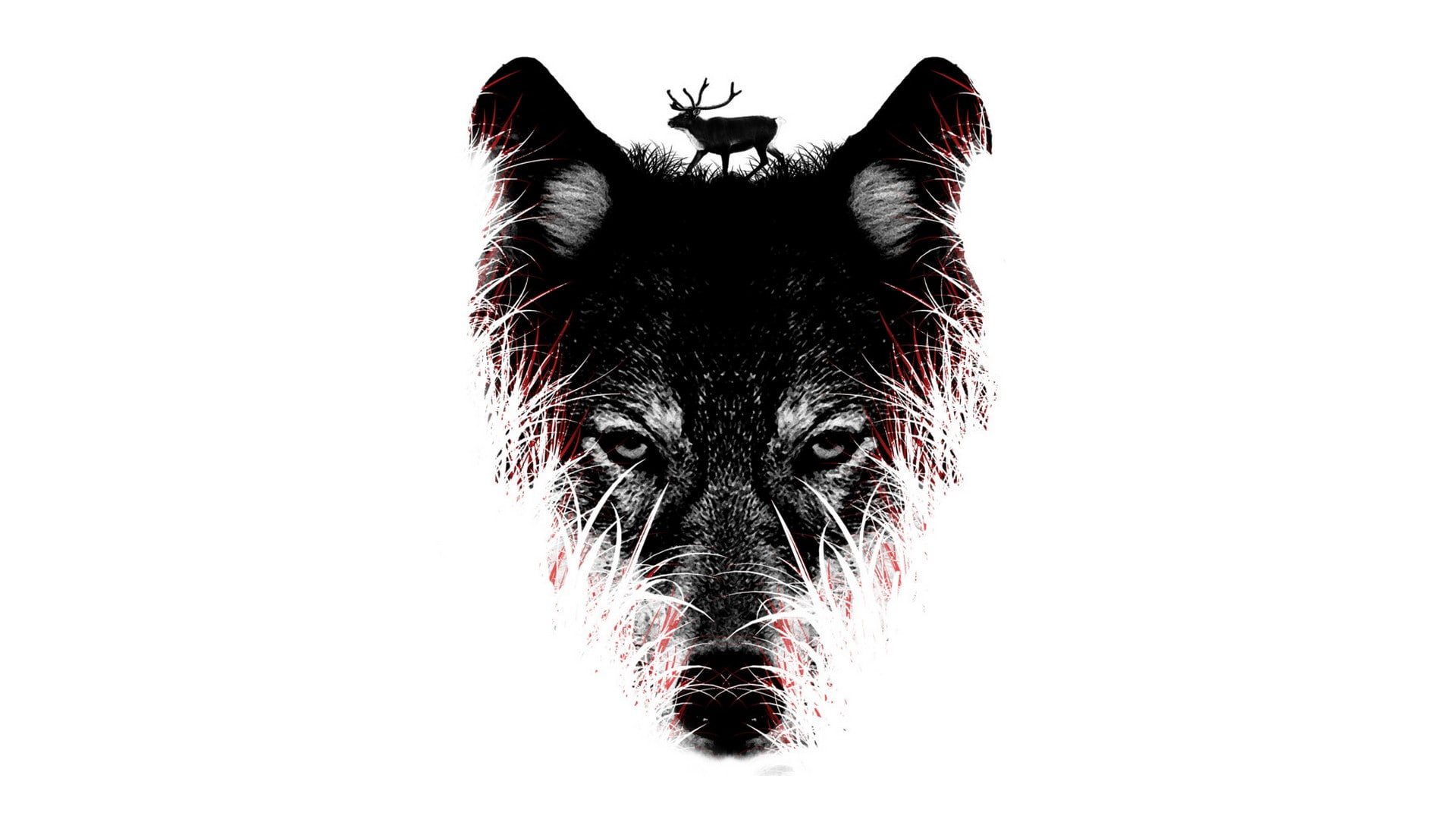 hd, 1080P, white, digital/artwork, wolf, HD Wallpaper