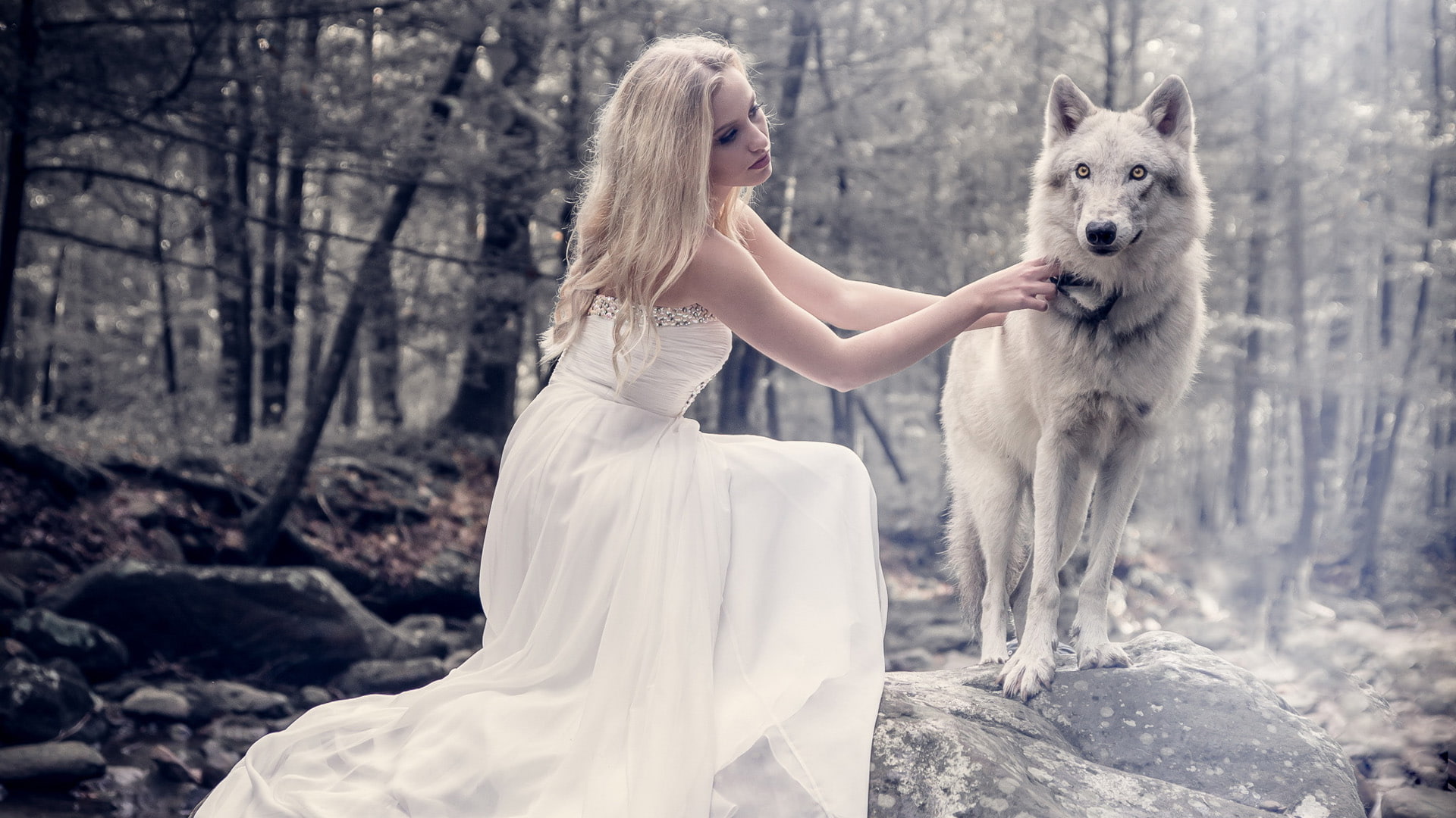 tree, beautiful woman, woodland, hair, domestic, 1080P, young adult, wolf, canine, photography, one animal, white dress, mammal, adult, fashion, nature, HD Wallpaper