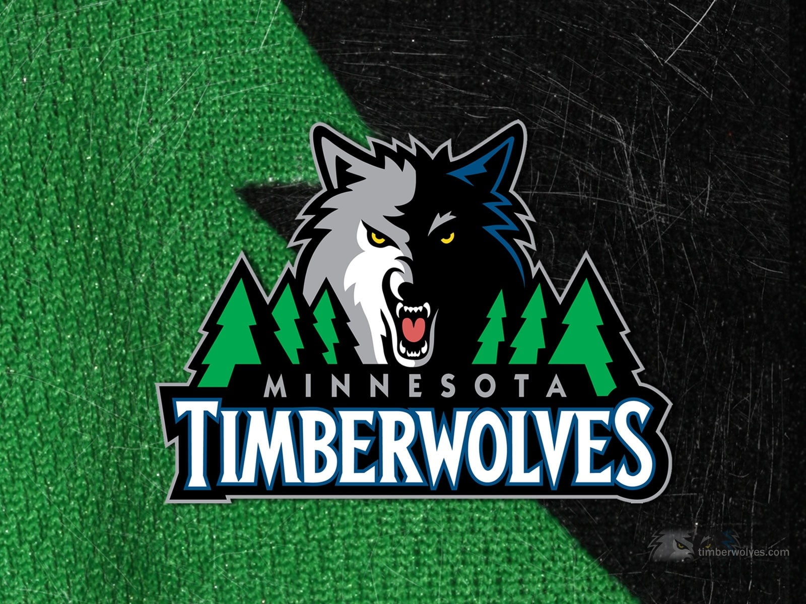sign, animal representation, animal, green color, Symbol, western script, close-up, cat, animal themes, Minnesota timberwolves, mammal, representation, HD Wallpaper
