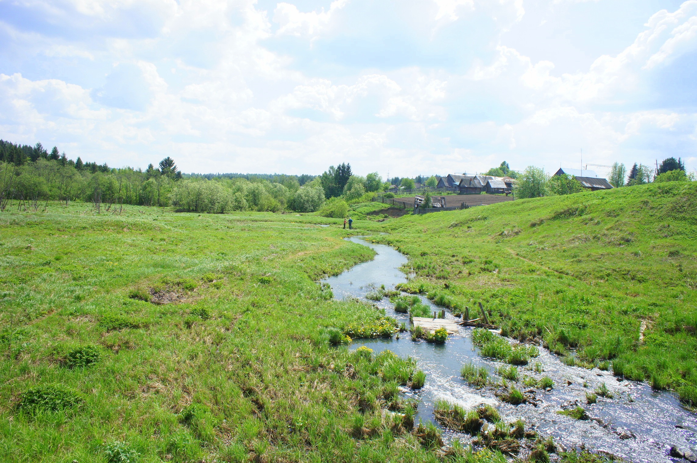 landscape, tree, nature, stream - flowing water, grass, green, land, tranquility, no people, river, growth, field, tranquil scene, green color, ok, flowing, HD Wallpaper