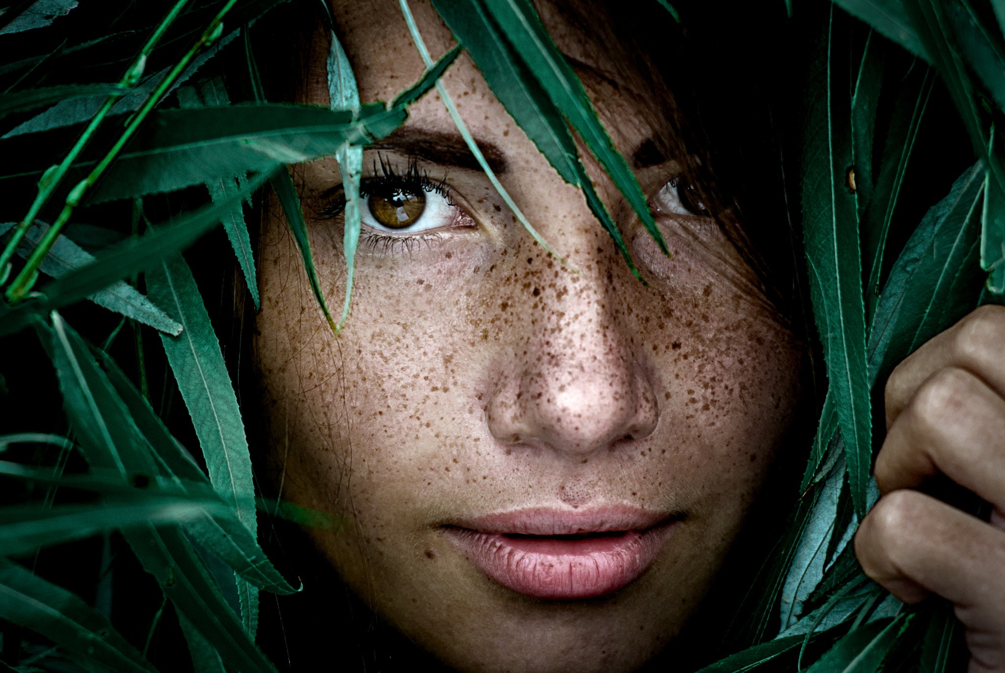 headshot, freckles, leaves, brown eyes, one person, leisure activity, looking at camera, Yuri Leo, model, women, Alina Batrak, 1080P, beautiful woman, HD Wallpaper