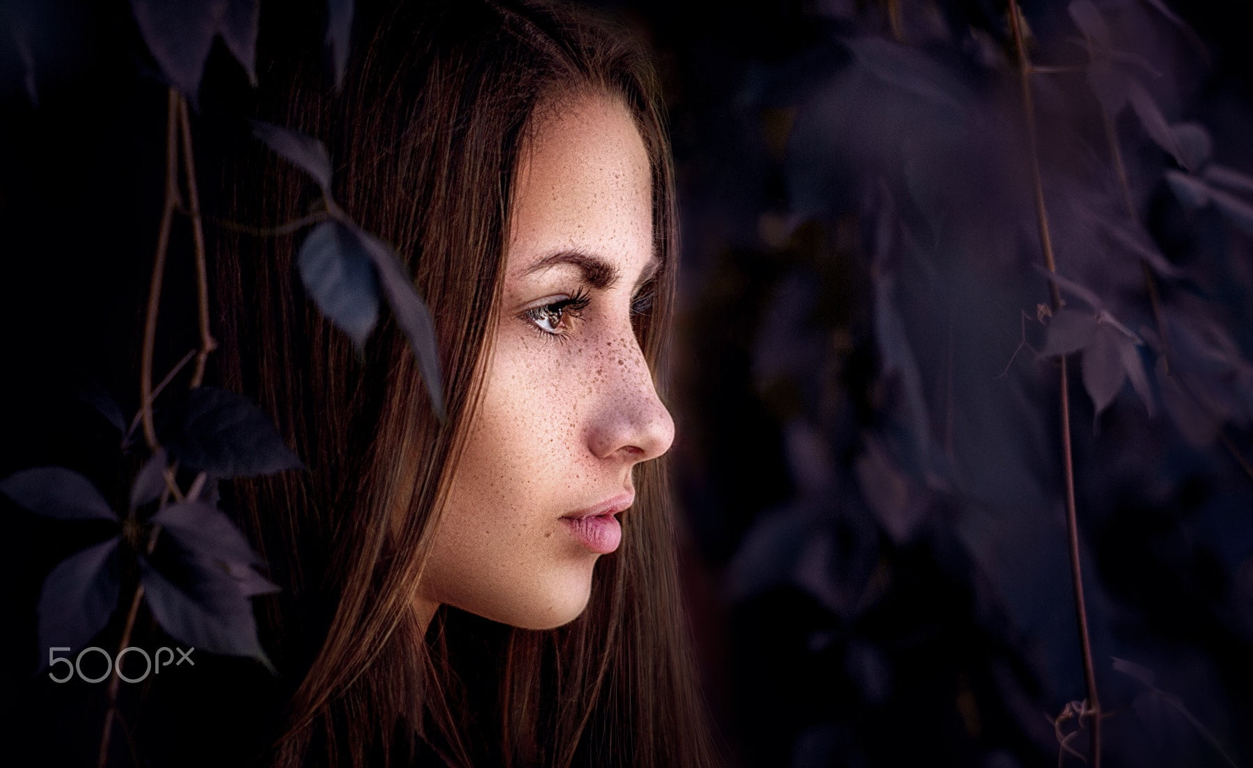 beautiful woman, one person, beauty, looking, young women, profile, headshot, leaves, nature, freckles, young adult, 720P, looking away, hair, portrait, HD Wallpaper