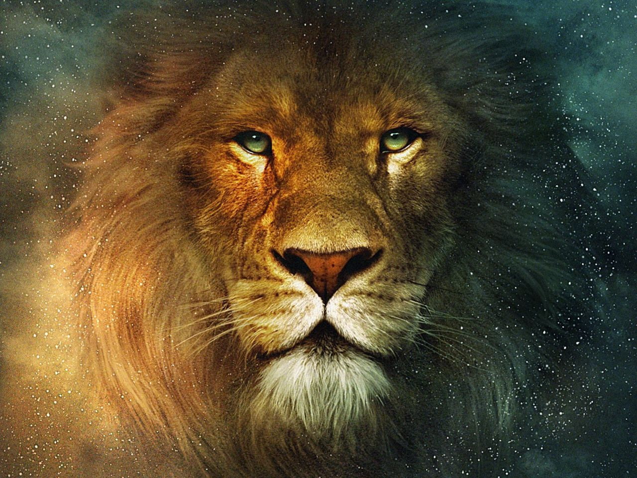 animals, art, mane, bears, leo, Lion, hd, cat, 720P, animal, HD Wallpaper