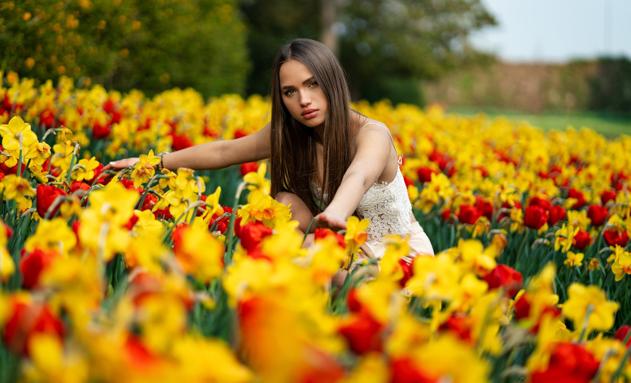 1080P, skirt, nature, makeup, portrait, topic, look, flowers, posing, Marco Squassina, bokeh, beauty, model, brown hair, Daria C., trees, in white, hairstyle, HD Wallpaper