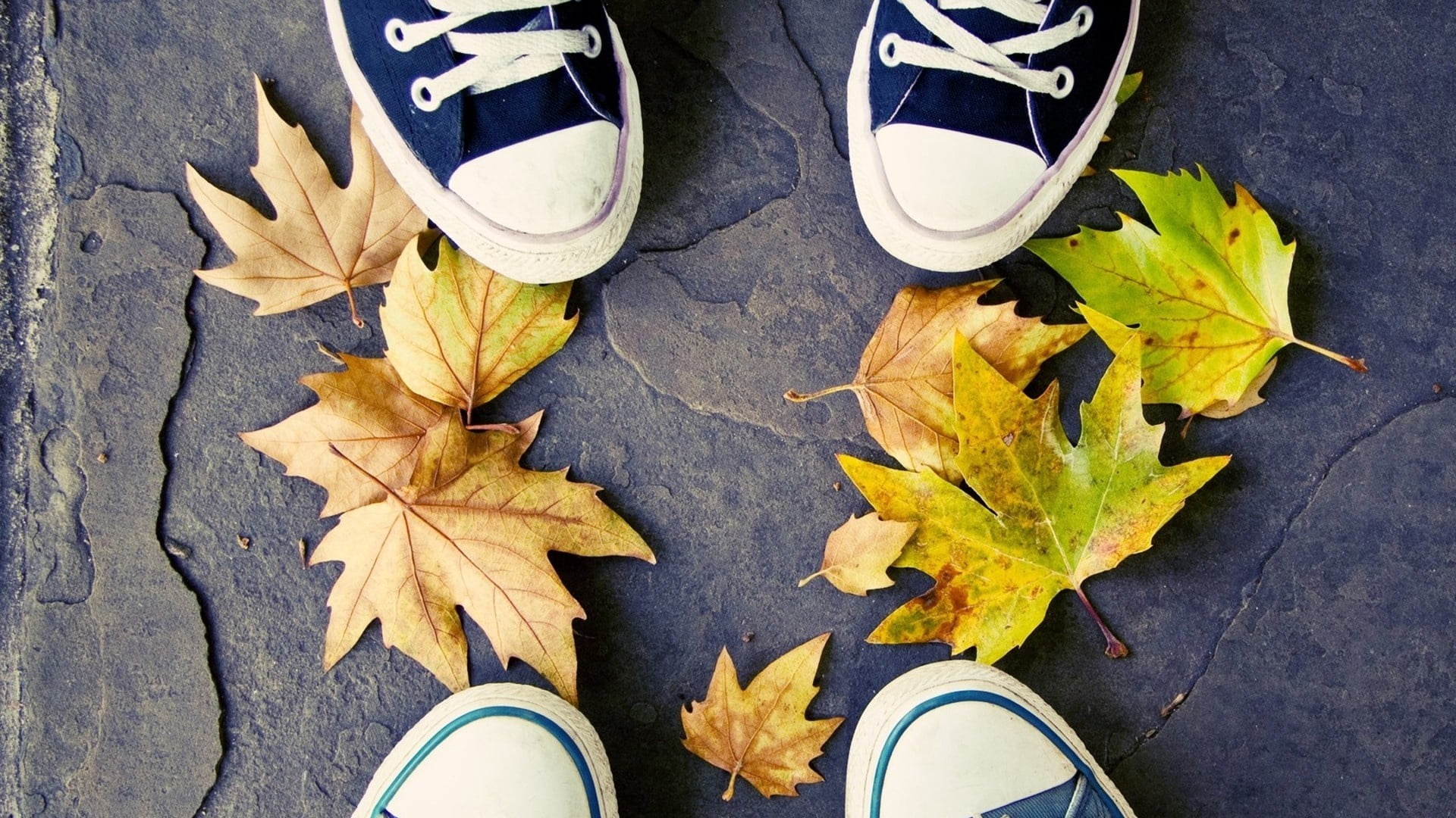 orange Color, close-up, pair, human Foot, dry, standing, body part, high Angle View, change, autumn, sports Shoe, concepts, sport, outdoors, season, real people, HD Wallpaper