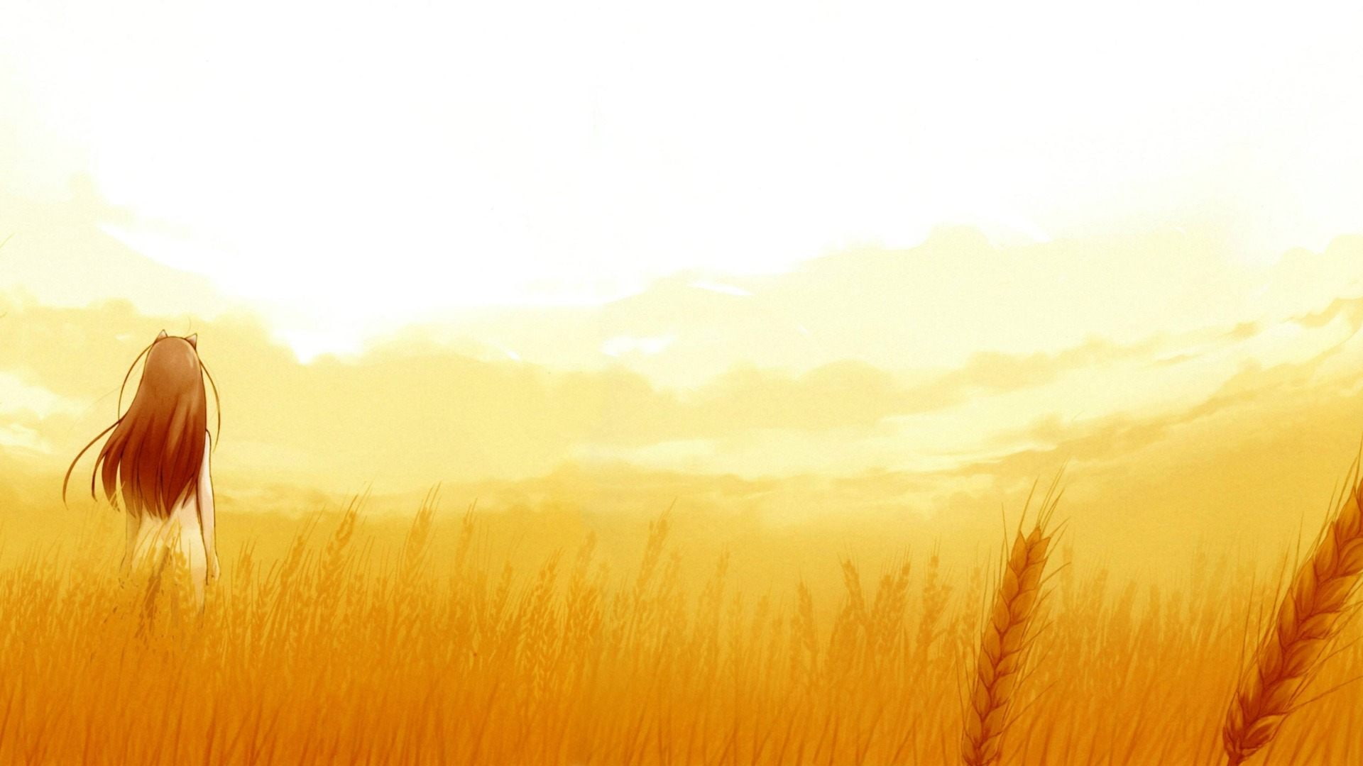 1080P, anime girls, Spice and Wolf, anime, HD Wallpaper