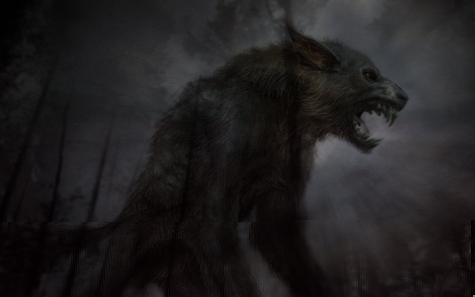 night, one animal, woodland, animal wildlife, horror, mammal, animal, gray, tree, evil, twilight, fear, dark, anger, power in nature, snarling, animal themes, HD Wallpaper