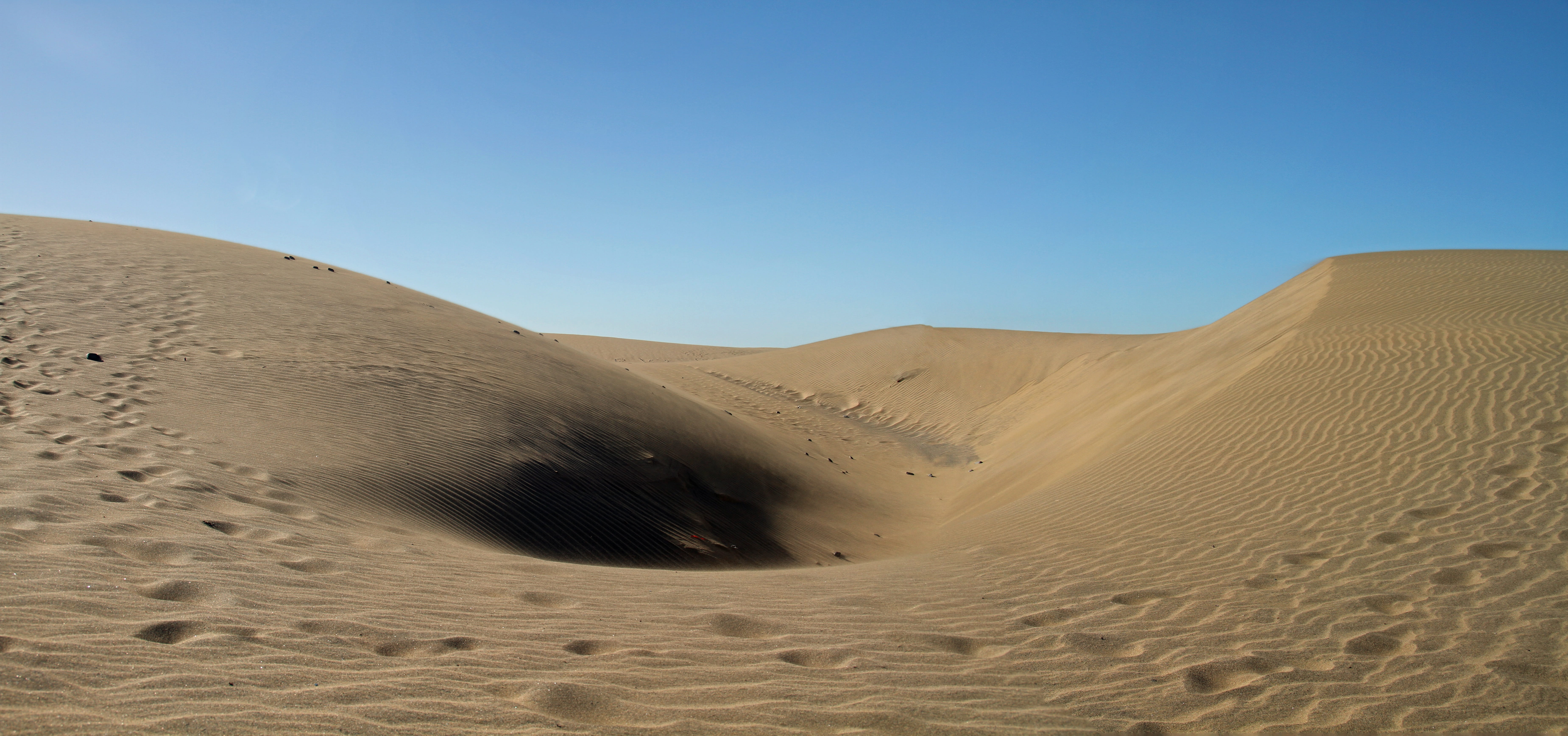 animal wildlife, clear sky, non-urban scene, semi-arid, beauty in nature, sky, land, scenics - nature, sand, climate, environment, canary islands, arid climate, HD Wallpaper