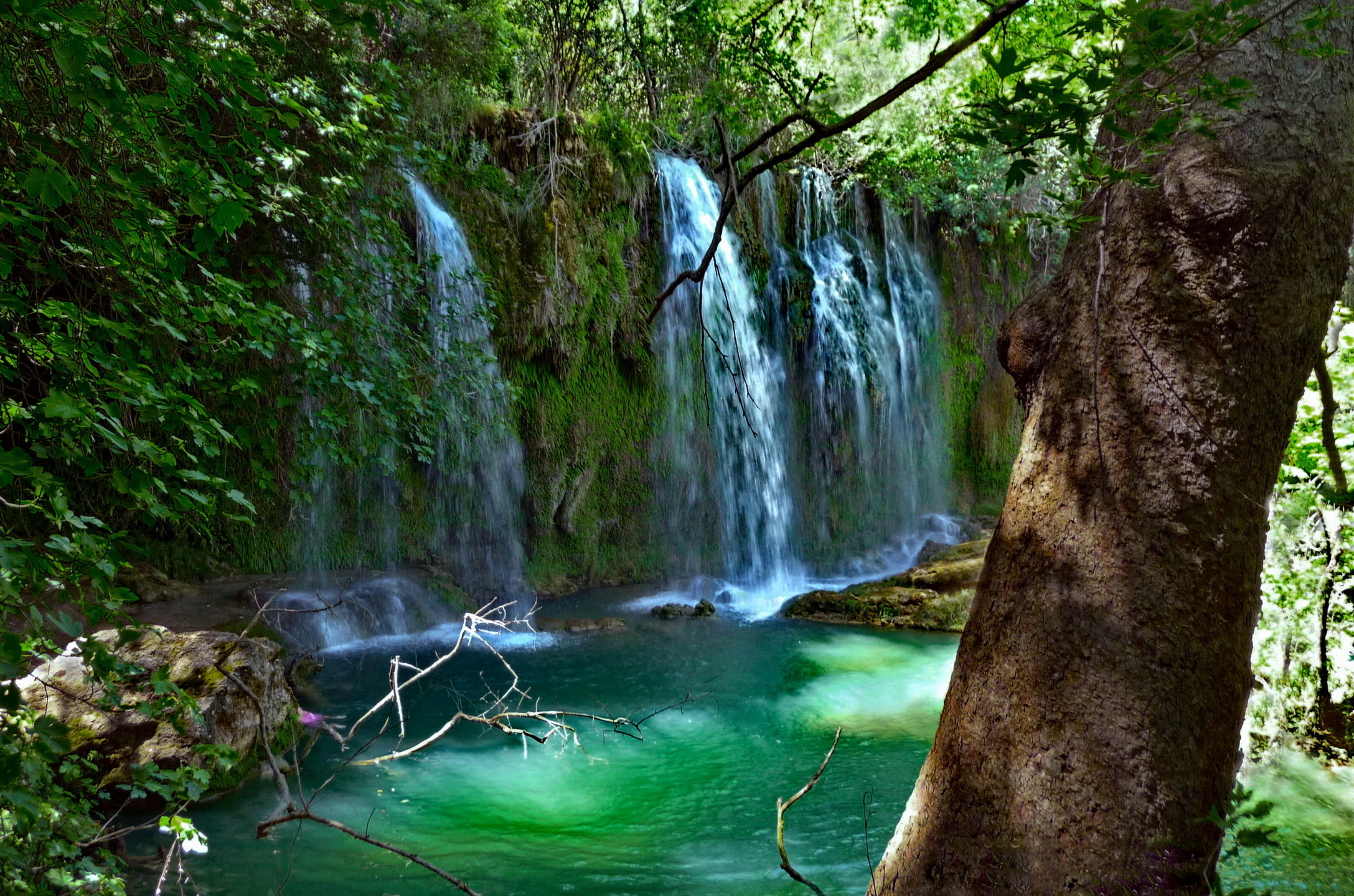 stones, moss, Kursunlu Waterfall Nature Park, waterfall, tree, Turkey, 1080P, waterfalls, water, greens, Kurşunlu, leaves, daytime, Antalya, branches, HD Wallpaper