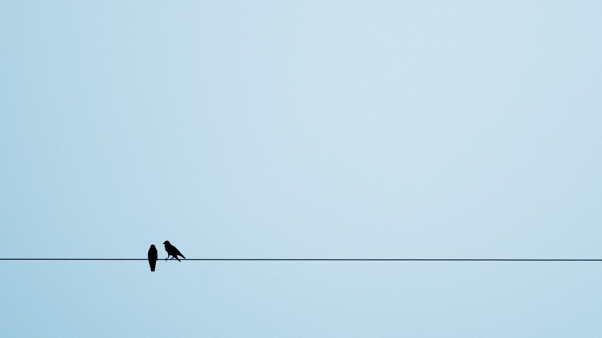 animals birds european magpie crow ropes simple background silhouette, 1080P, HD Wallpaper