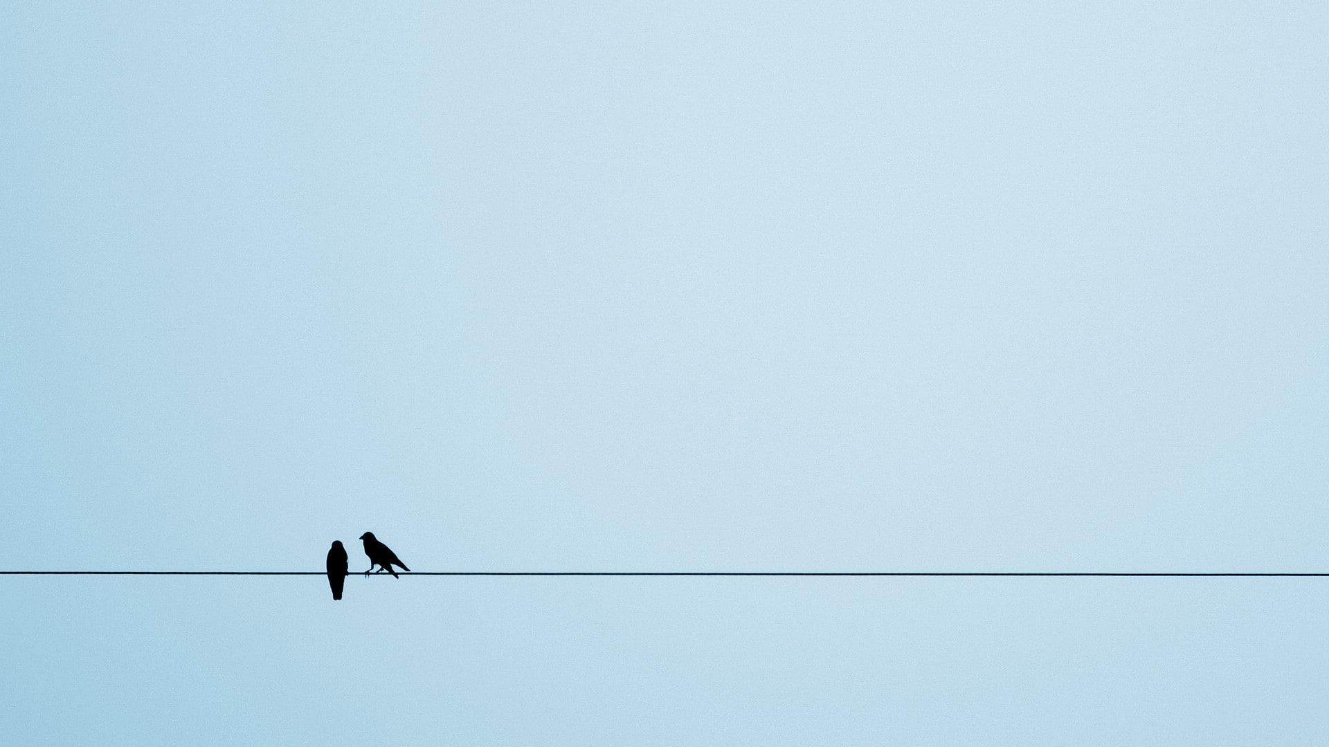 vertebrate, sky, bird, animals, ropes, copy space, 1080P, outdoors, one animal, no people, Simple Background, perching, animal wildlife, power line, animal themes, HD Wallpaper