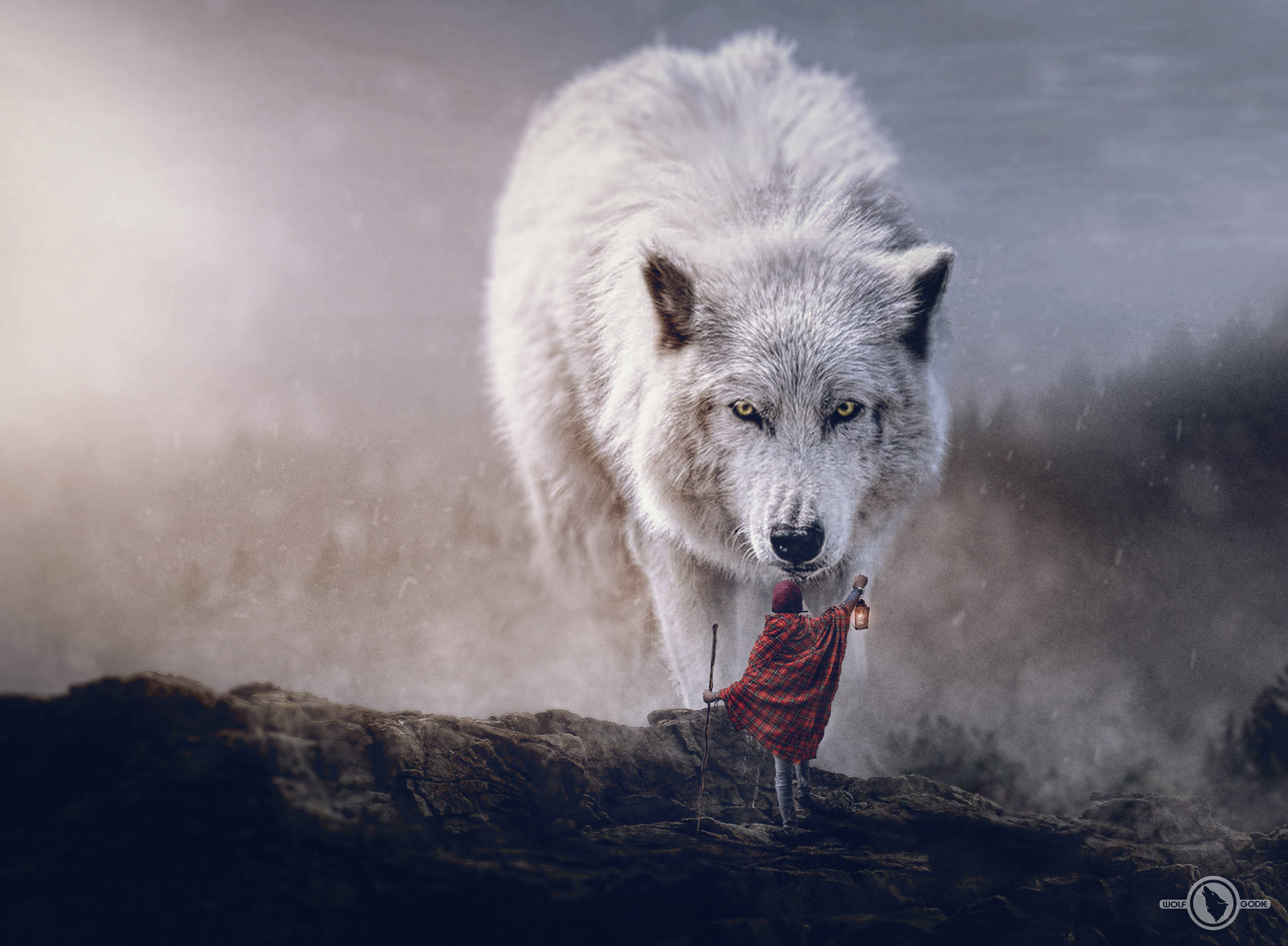 Polar wolf, wolf, 4K, digital art, Sciencie fiction adventures, HD Wallpaper
