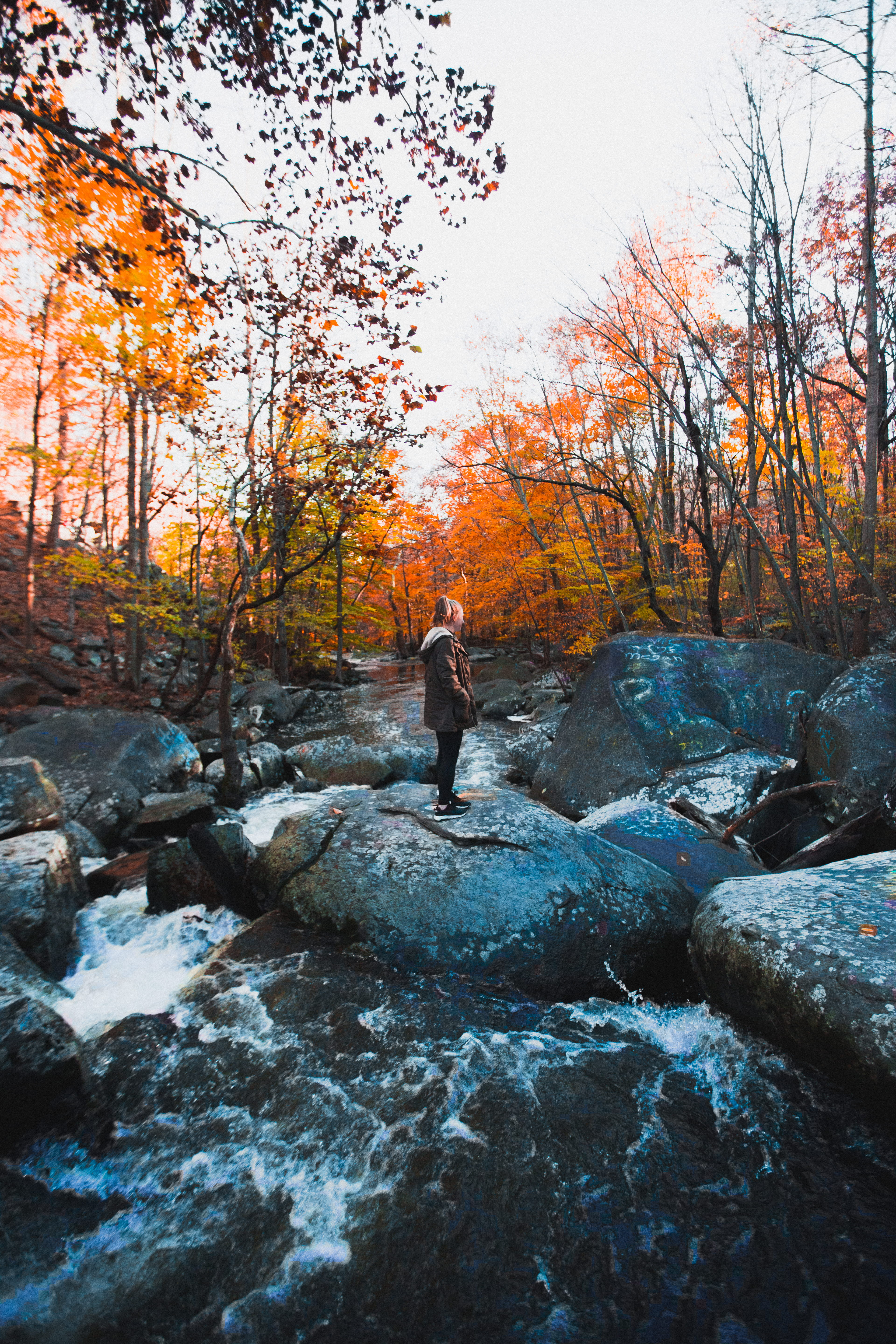 rock, change, river, warwick county park office, tree, waterfall, stream, rock - object, real people, creek, warm clothing, water, human, daytime, standing, Phone HD Wallpaper