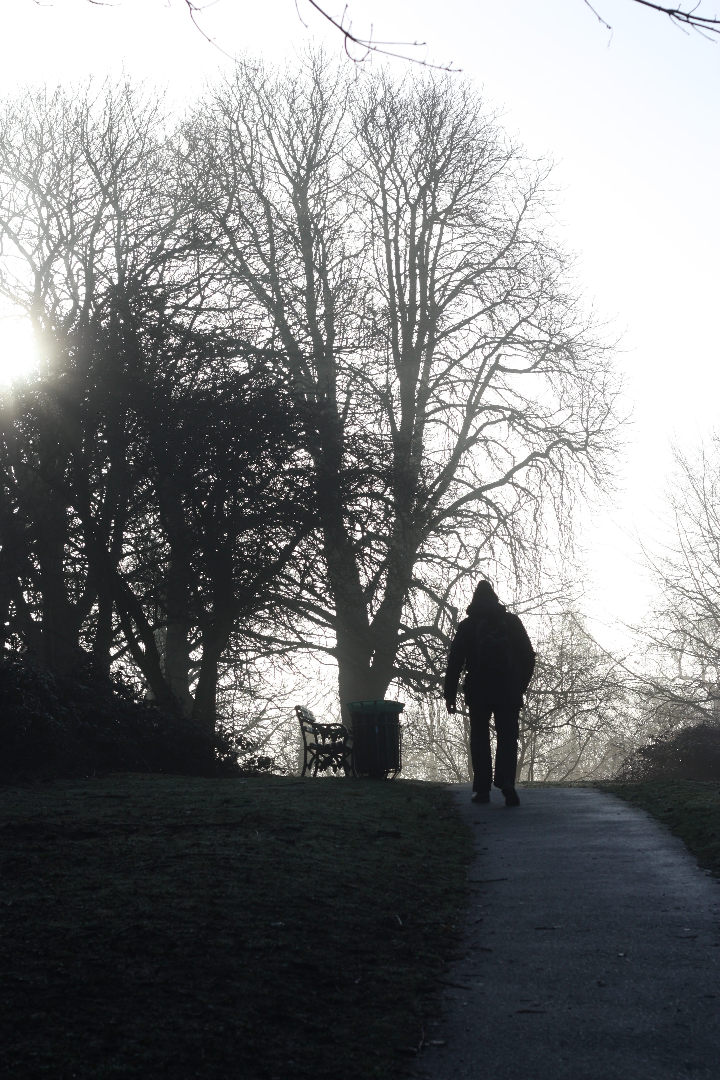 full length, nature, silhouette, tranquility, land, united kingdom, bare tree, rear view, 4K, real people, men, warwick, leisure activity, day, plant, Phone HD Wallpaper