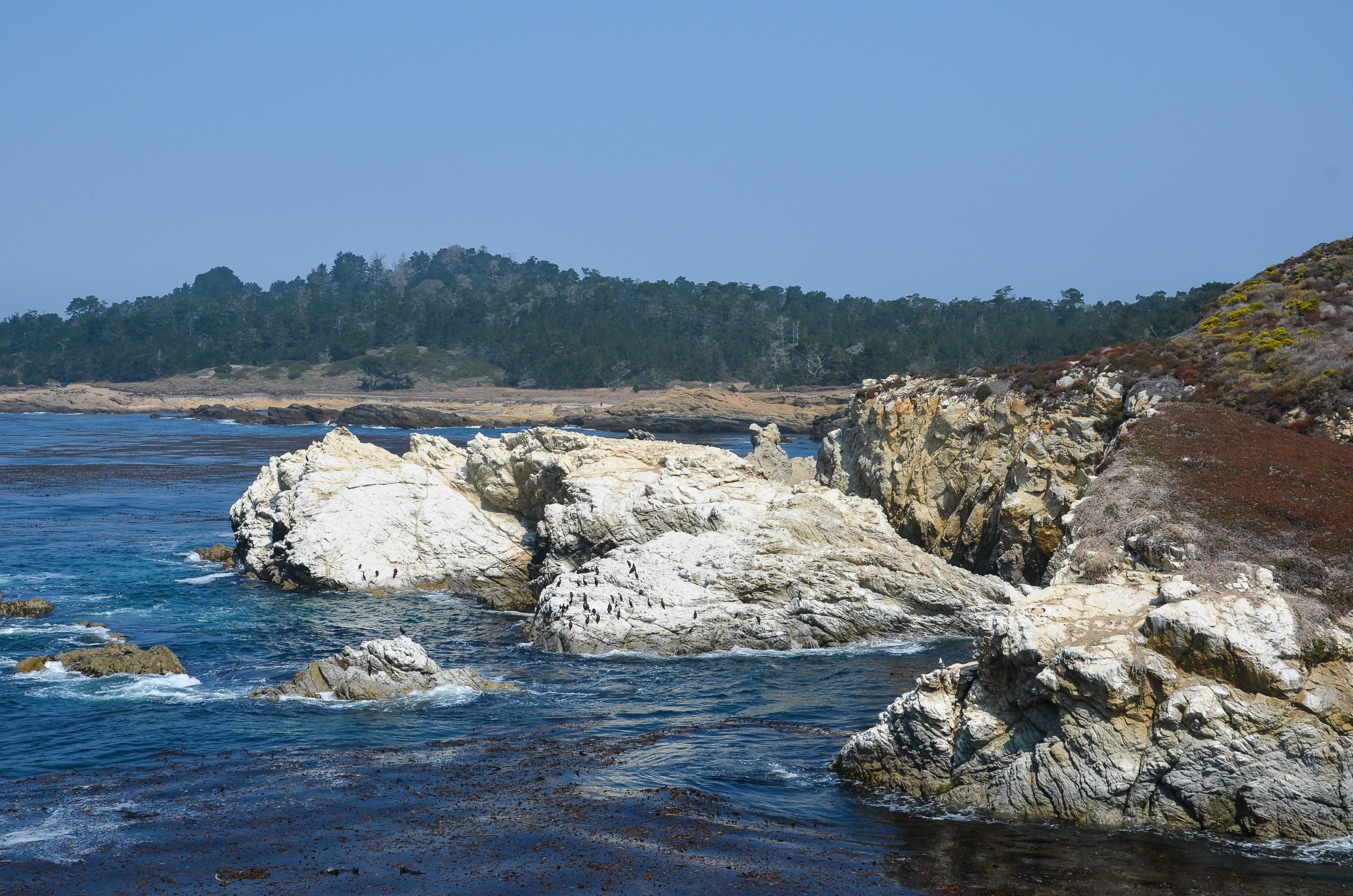 sea, rocky coastline, nature, land, west coast, scenics - nature, lagoon, usa, beauty in nature, landscape, america, outdoors, rock, blue, rock - object, HD Wallpaper
