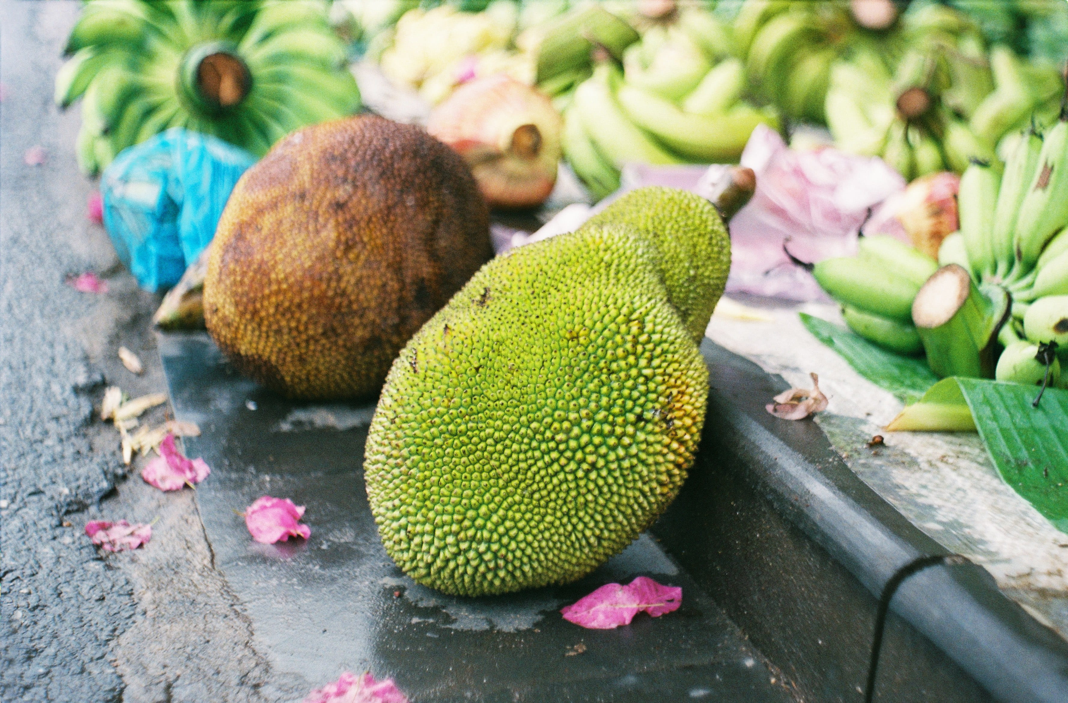 nature, freshness, texture, southeast asia, plant, pink color, exotic fruits, plant part, asia, close-up, green color, day, colors, vulnerability, flowering plant, HD Wallpaper