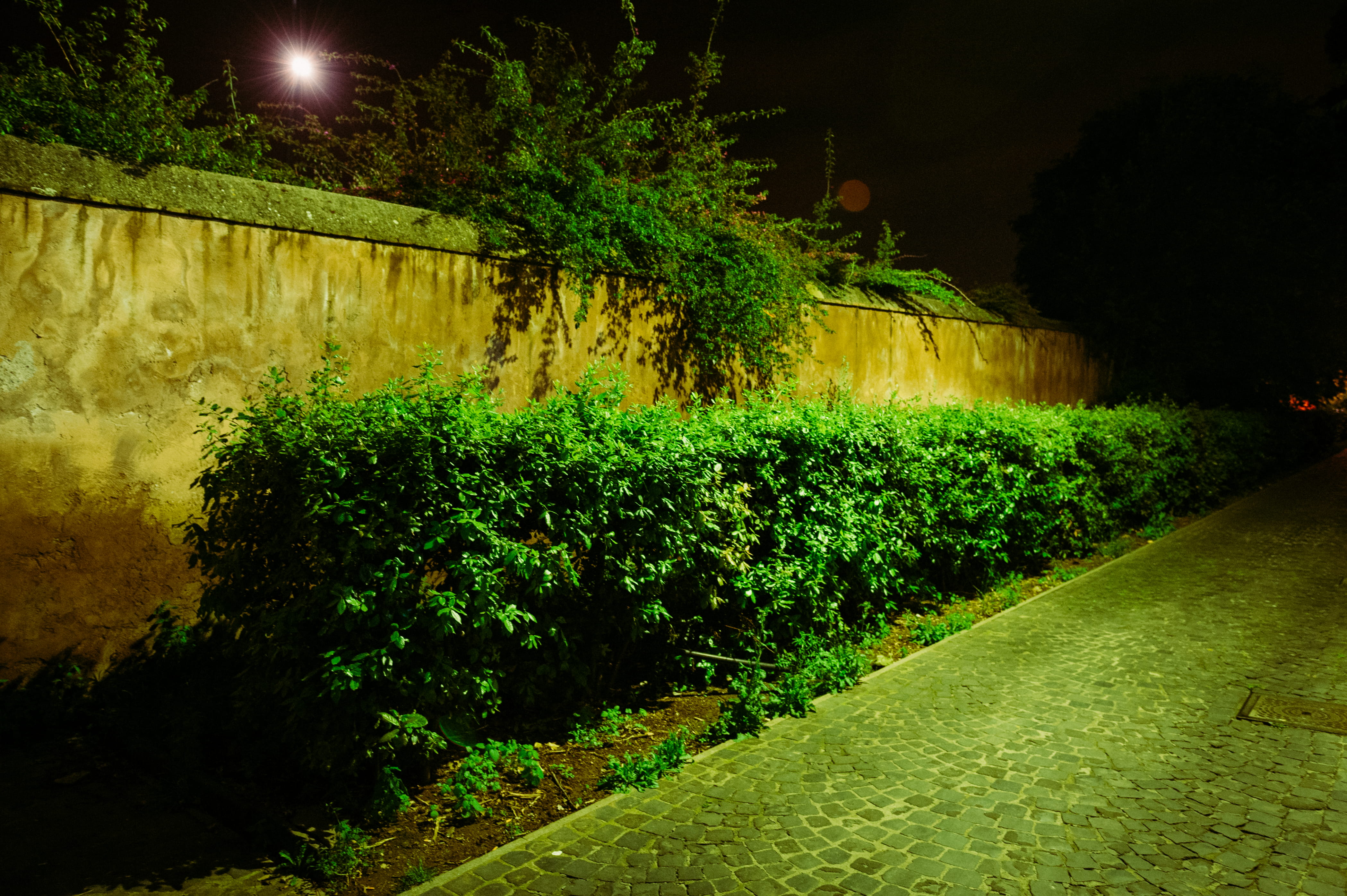 outdoors, green color, wall, plant, illuminated, footpath, garden path, park, beauty in nature, hedge, grass, italy, green, park - man made space, lighting equipment, HD Wallpaper