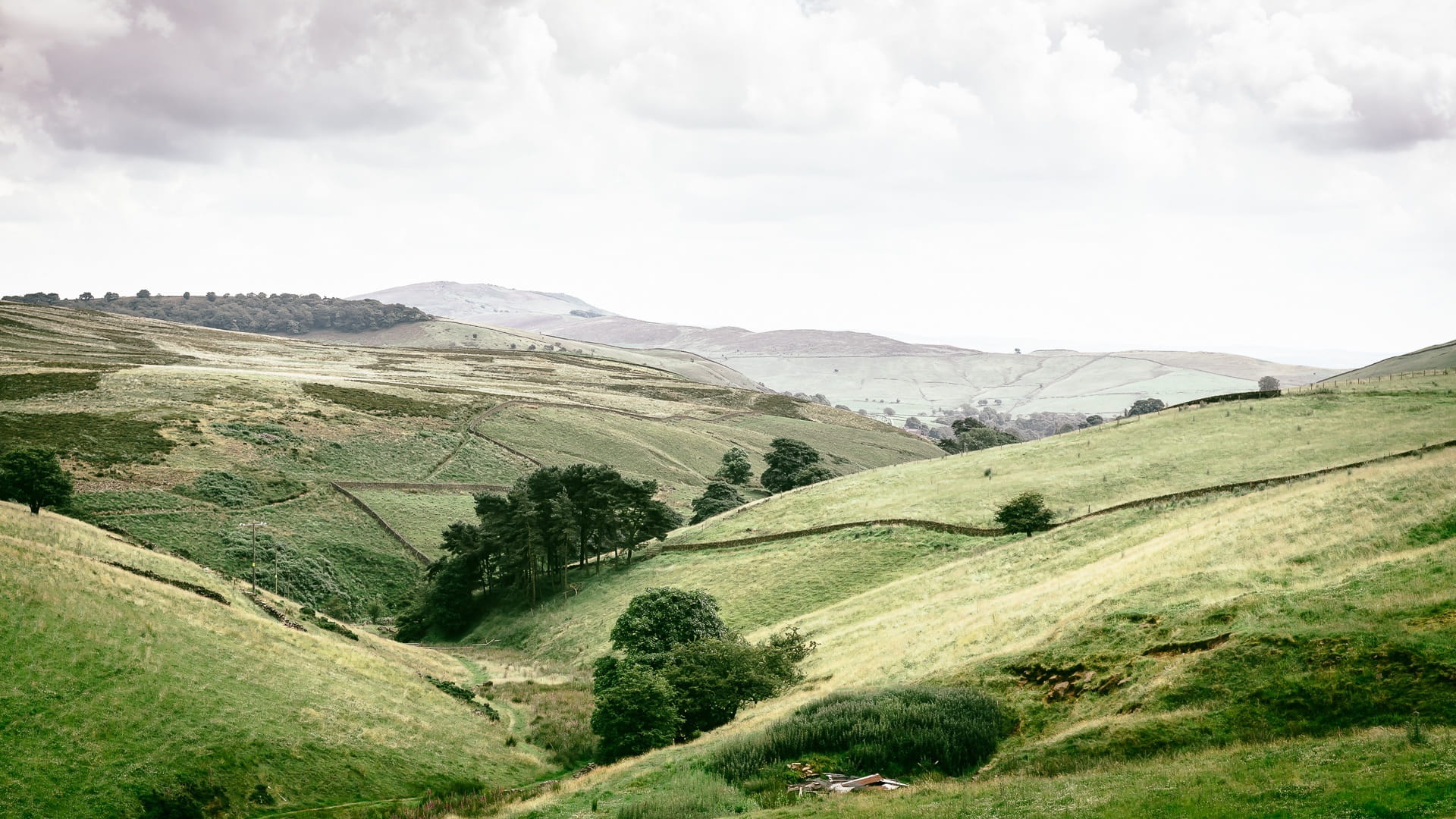 nature, day, plant, scenery, non-urban scene, outdoors, no people, panorama, rolling landscape, landscape, land, meadow, 1080P, shrubbery, mountain, mountain range, HD Wallpaper