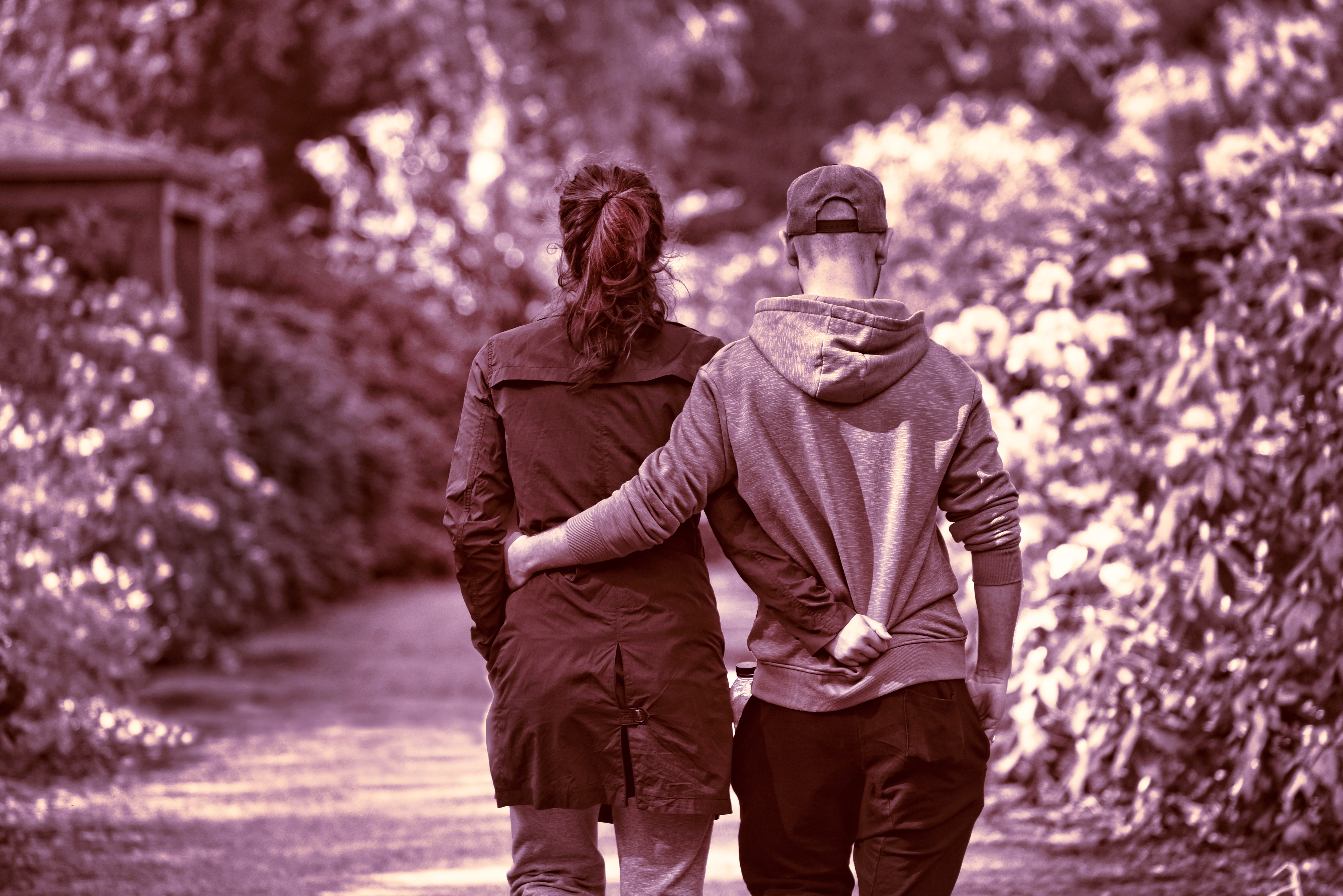 emotion, arms around, people, adult, males, three quarter length, shrubbery, person, women, love, together, lifestyles, pathway, couple, 5K, movement, HD Wallpaper