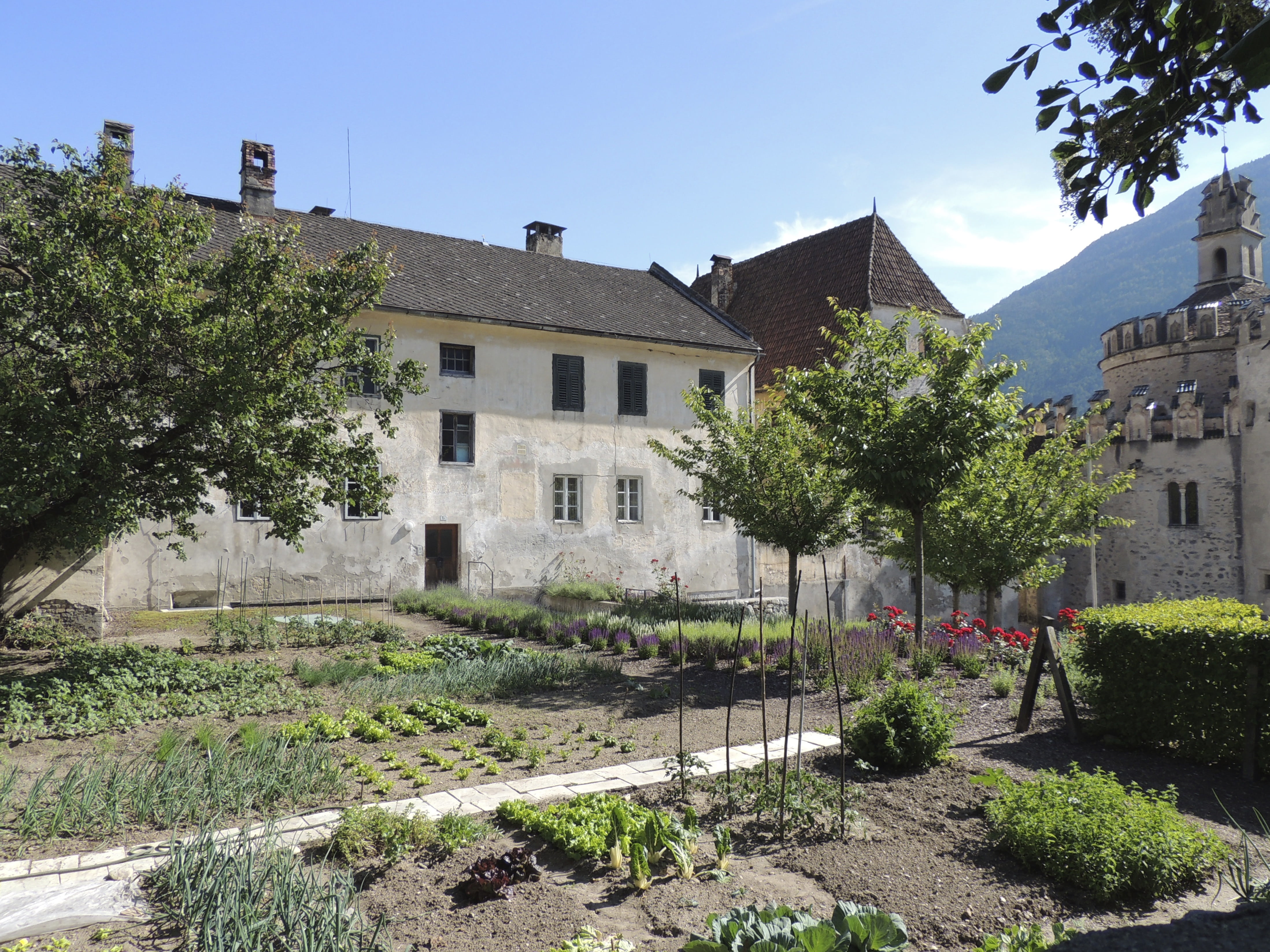 hedge, growth, monastery, nature, real people, garden, trees, green color, men, city, sunlight, building exterior, water, tree, residential district, incidental people, HD Wallpaper