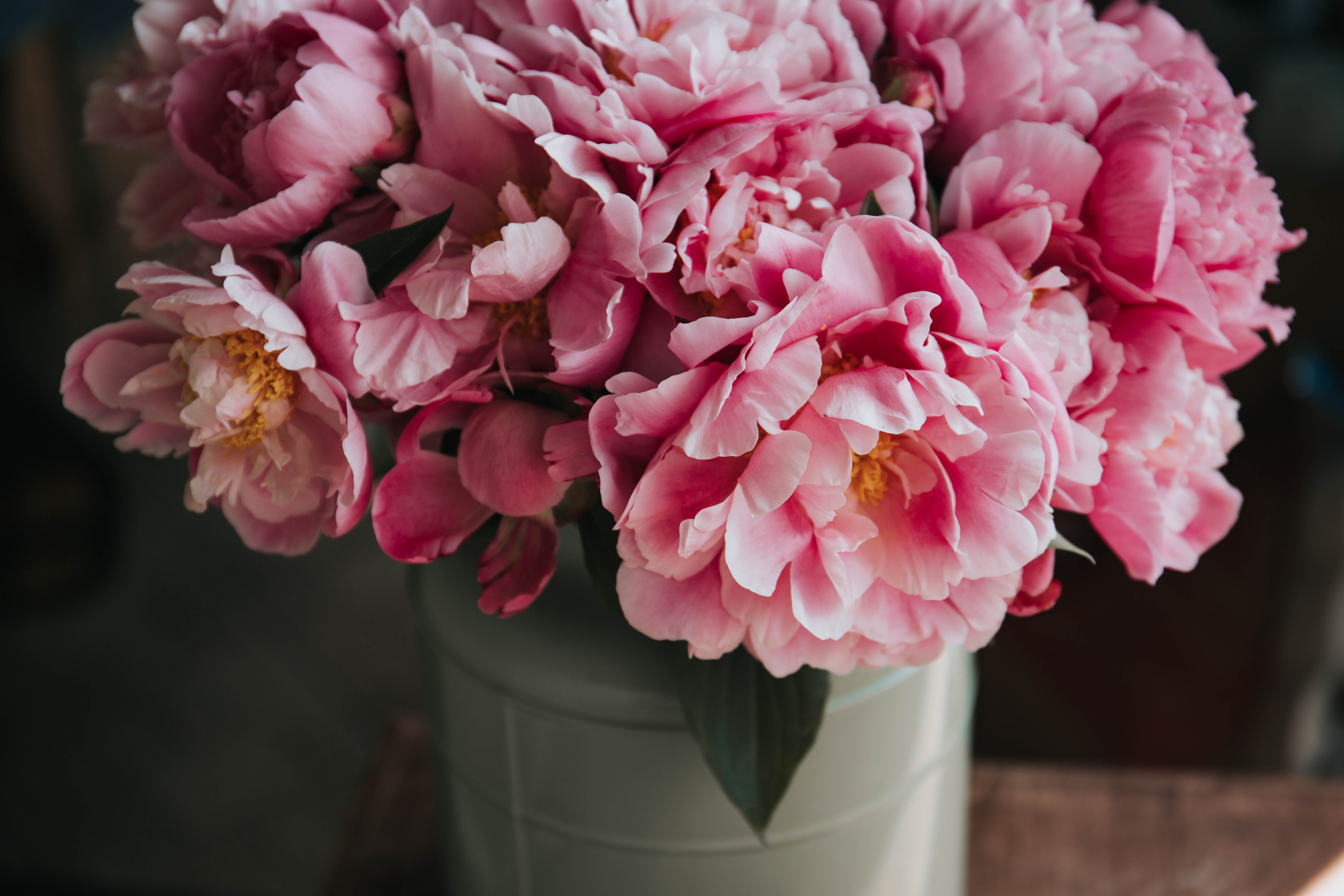 bunch of flowers, macro shot, close-up, 5K, bouquet, decoration, flower arrangement, petaled, growth, arrangement, petal, ceramic pot, nature, fragility, HD Wallpaper
