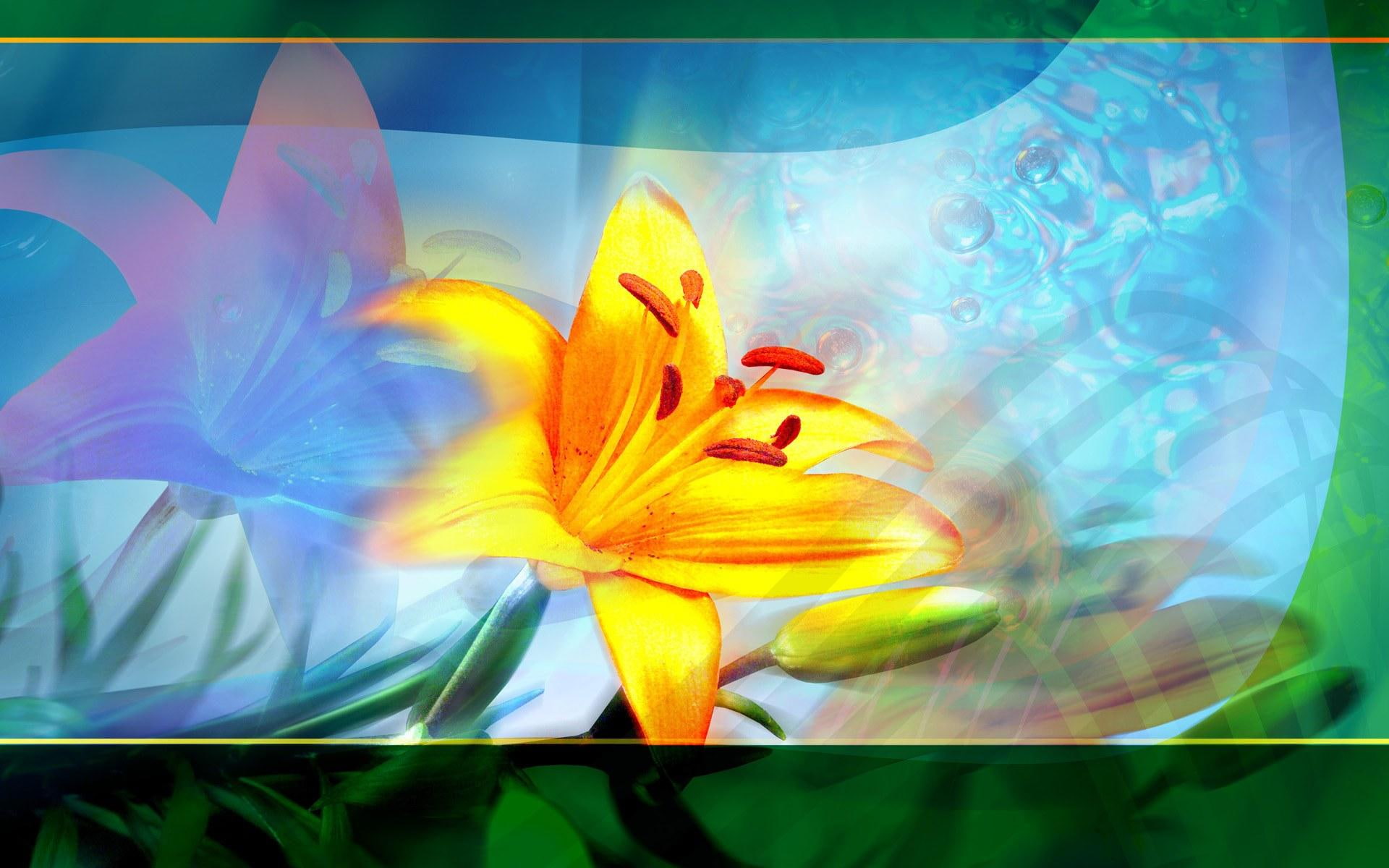 lily, 1080P, diigital, digital, nature, yellow, illustion, 3d and abstract, HD Wallpaper