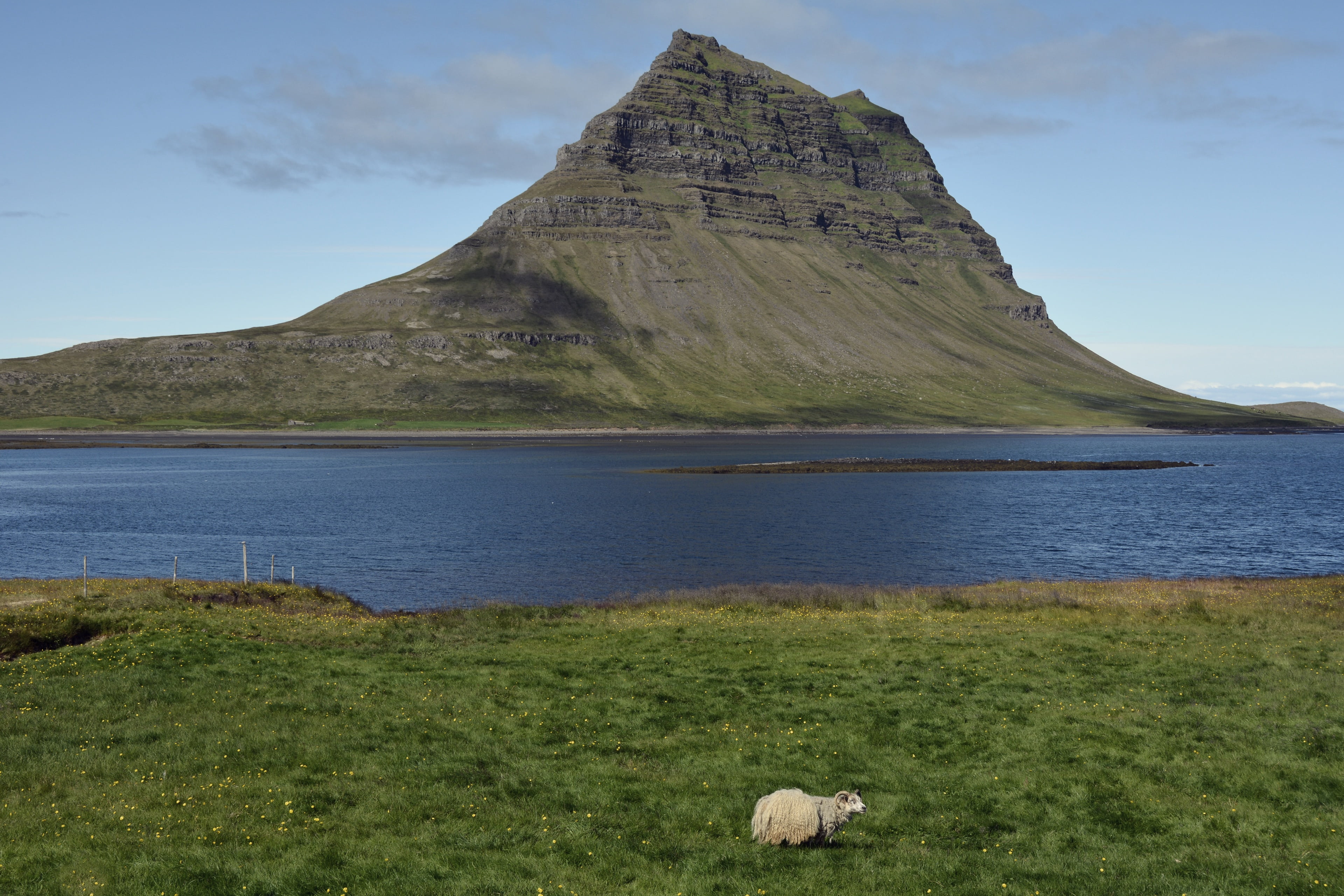 water, kirchberg, land, domestic, mountain, day, iceland, animal, livestock, landscape, animal themes, cuneiform, scenics - nature, outdoors, places of interest, HD Wallpaper