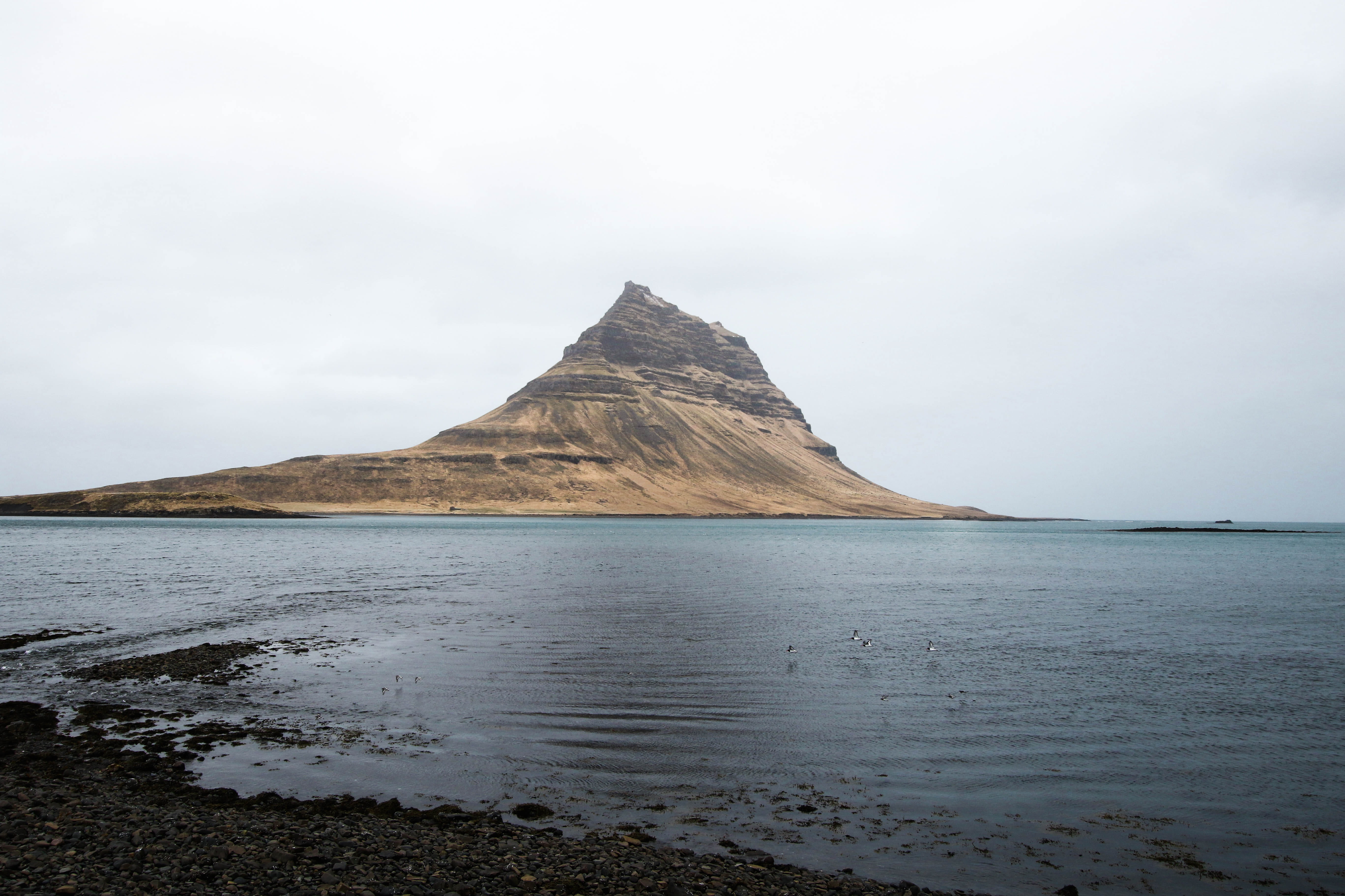 destination, remote, shoreline, animal, water, black sand, peak, cloud - sky, nature, sky, 5K, focus, sea, beauty in nature, mountains, scenics - nature, HD Wallpaper