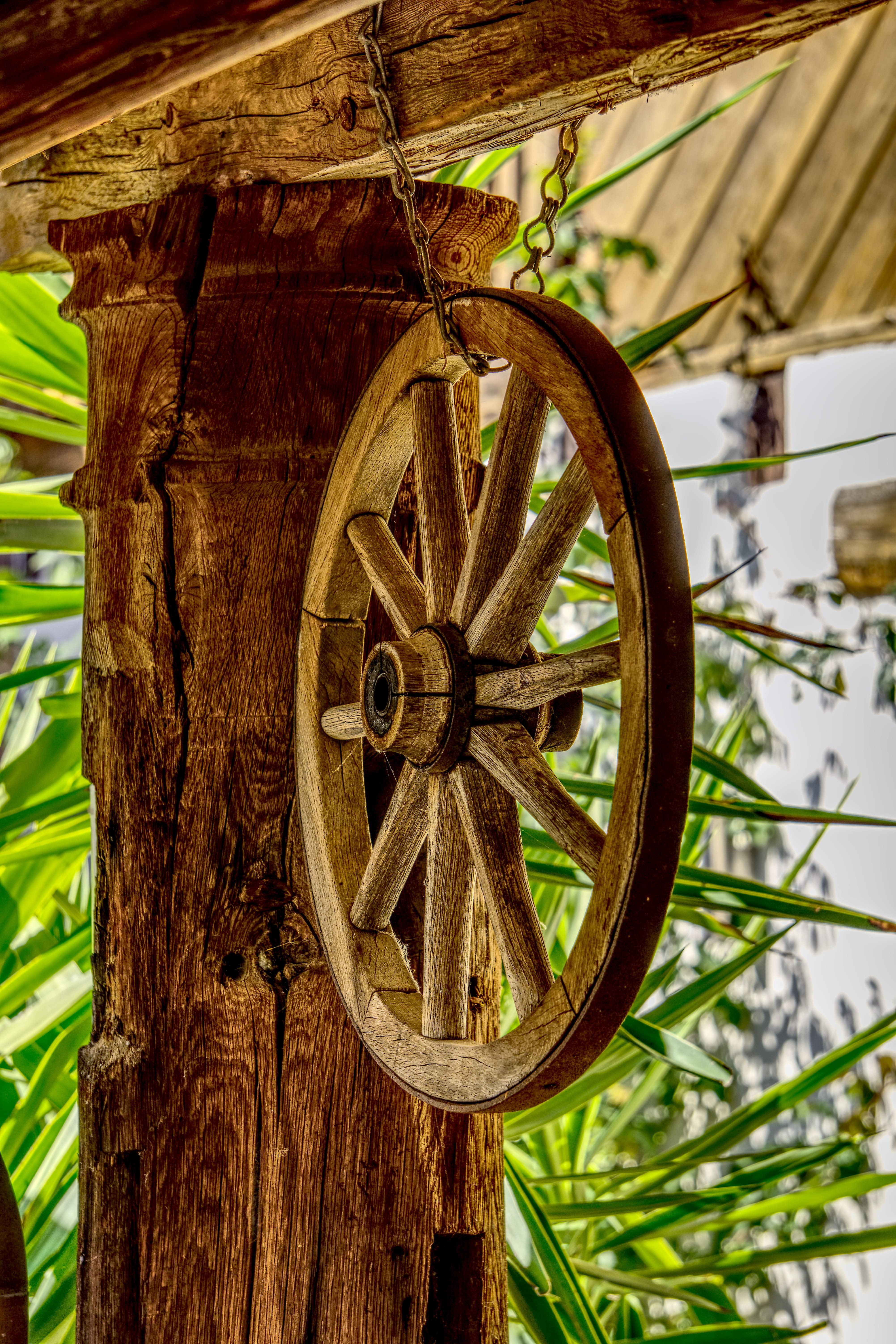 nature, historically, wagon wheel, day, dare, spokes, hanging, circle, wooden wheel, antique, agriculture, 5K, tree, tree trunk, transport, wood - material, Phone HD Wallpaper