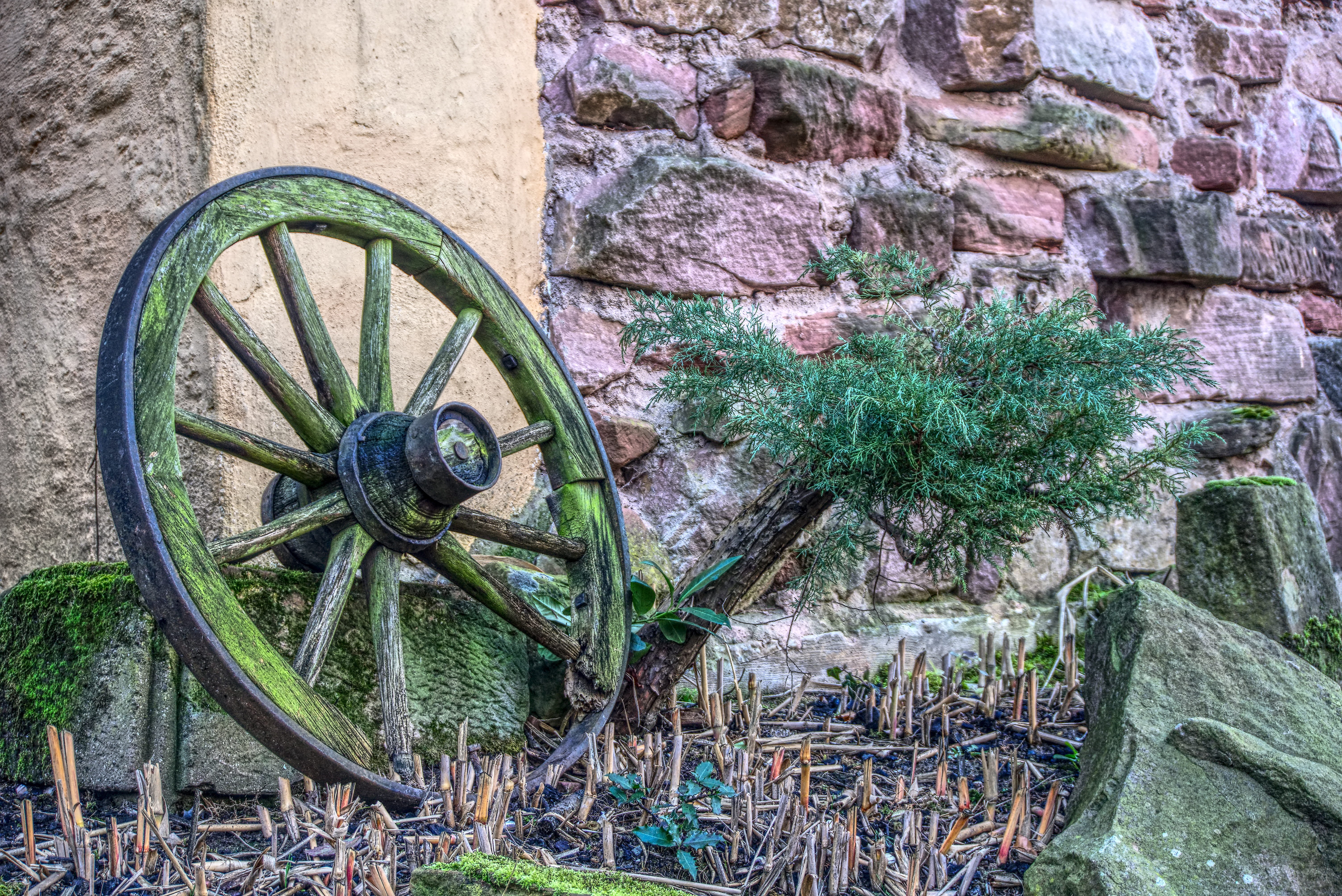 coach, nature, wheels, wagon wheel, antique, historically, architecture, wood, green color, wheel, wagon, decoration, building exterior, wall - building feature, HD Wallpaper