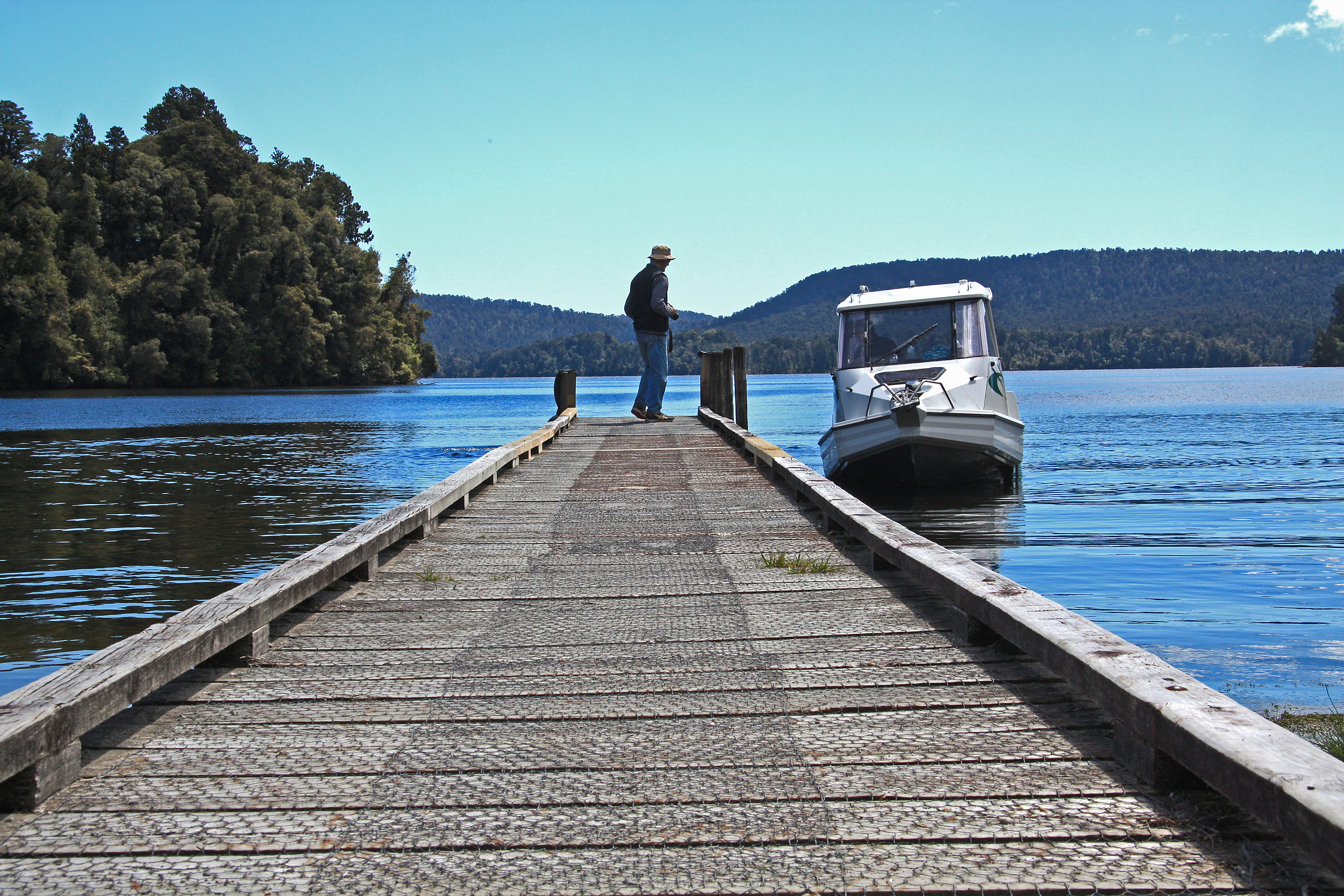 men, sky, water, pier, forest, timber, lifestyles, lake, tree, leisure activity, day, one person, standing, west coast, full length, clear sky, outdoors, HD Wallpaper