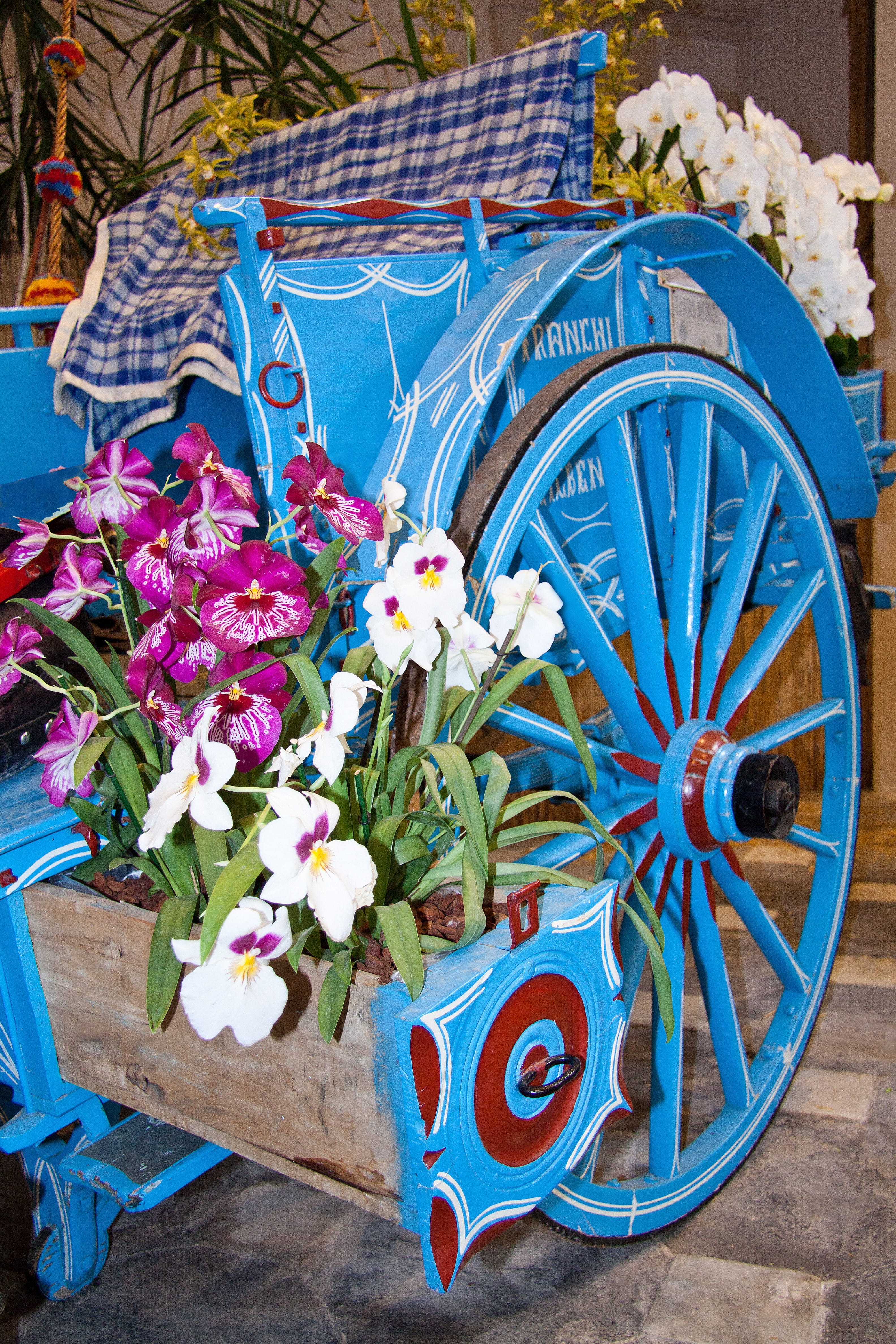 Flora, day, outdoors, wood - material, high angle view, blossom, clock, noble, Orchids, wooden cart, creativity, no people, old-fashioned, wagon wheel, Phone HD Wallpaper