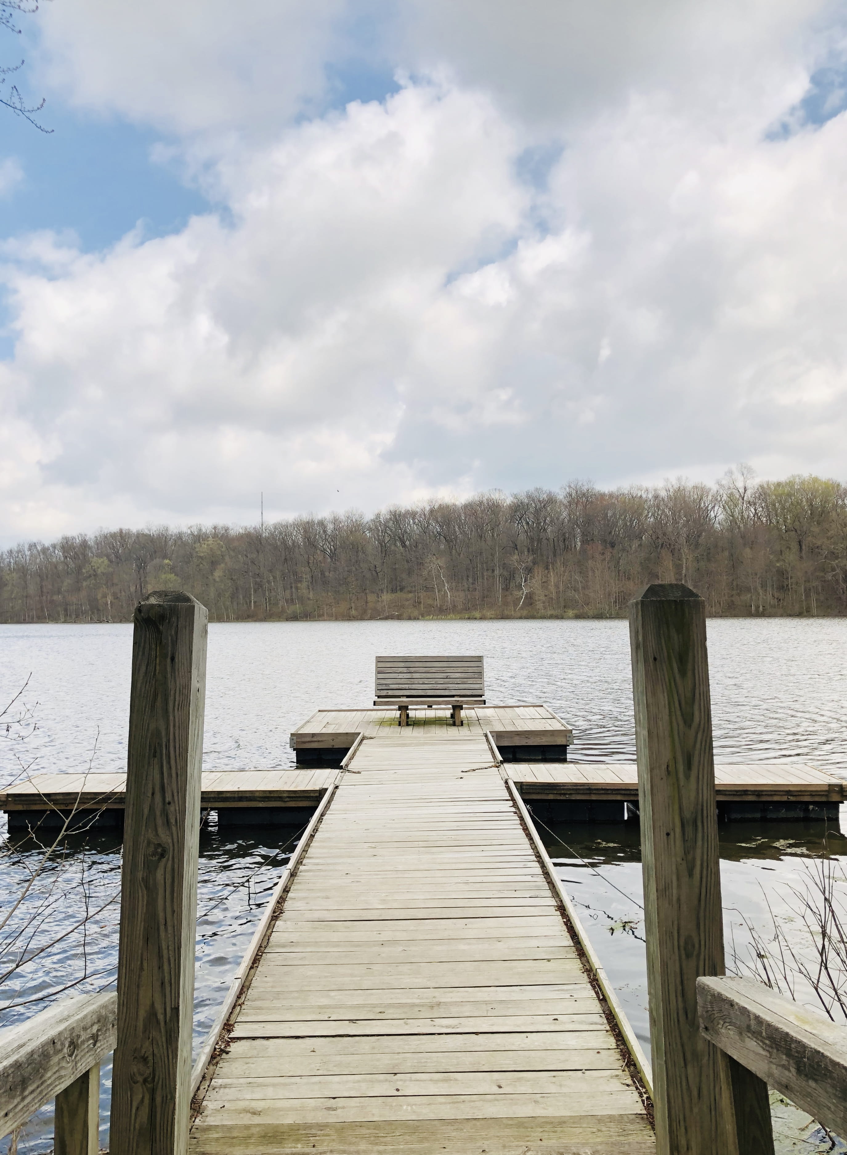 pier, direction, bridge, lake, wood, railing, wood paneling, animal, building, waterfront, path, beauty in nature, cloud - sky, 3236 e 75 s, no people, Phone HD Wallpaper