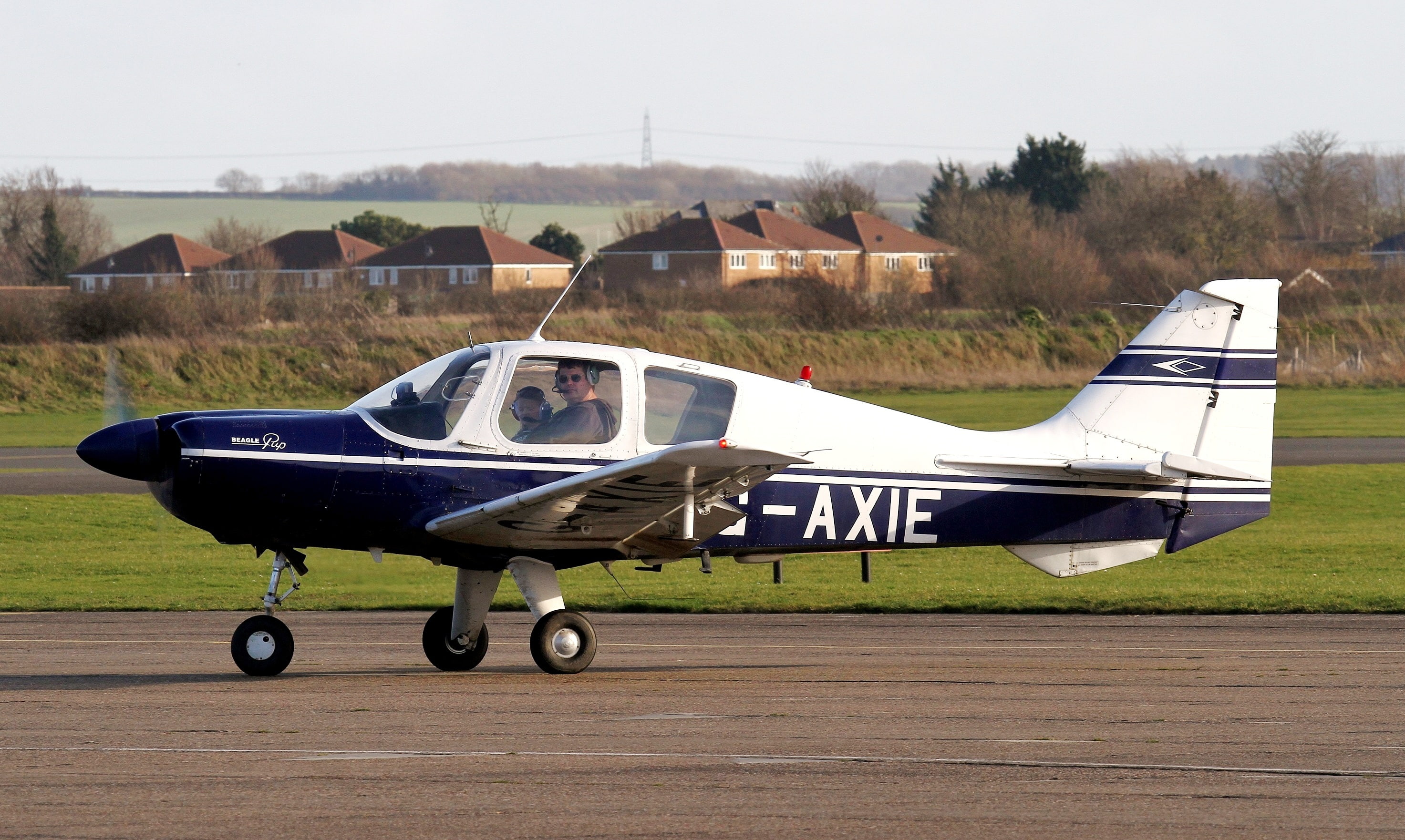 Beagle, the plane, British, B. 121 Puppy, 2K, easy, HD Wallpaper