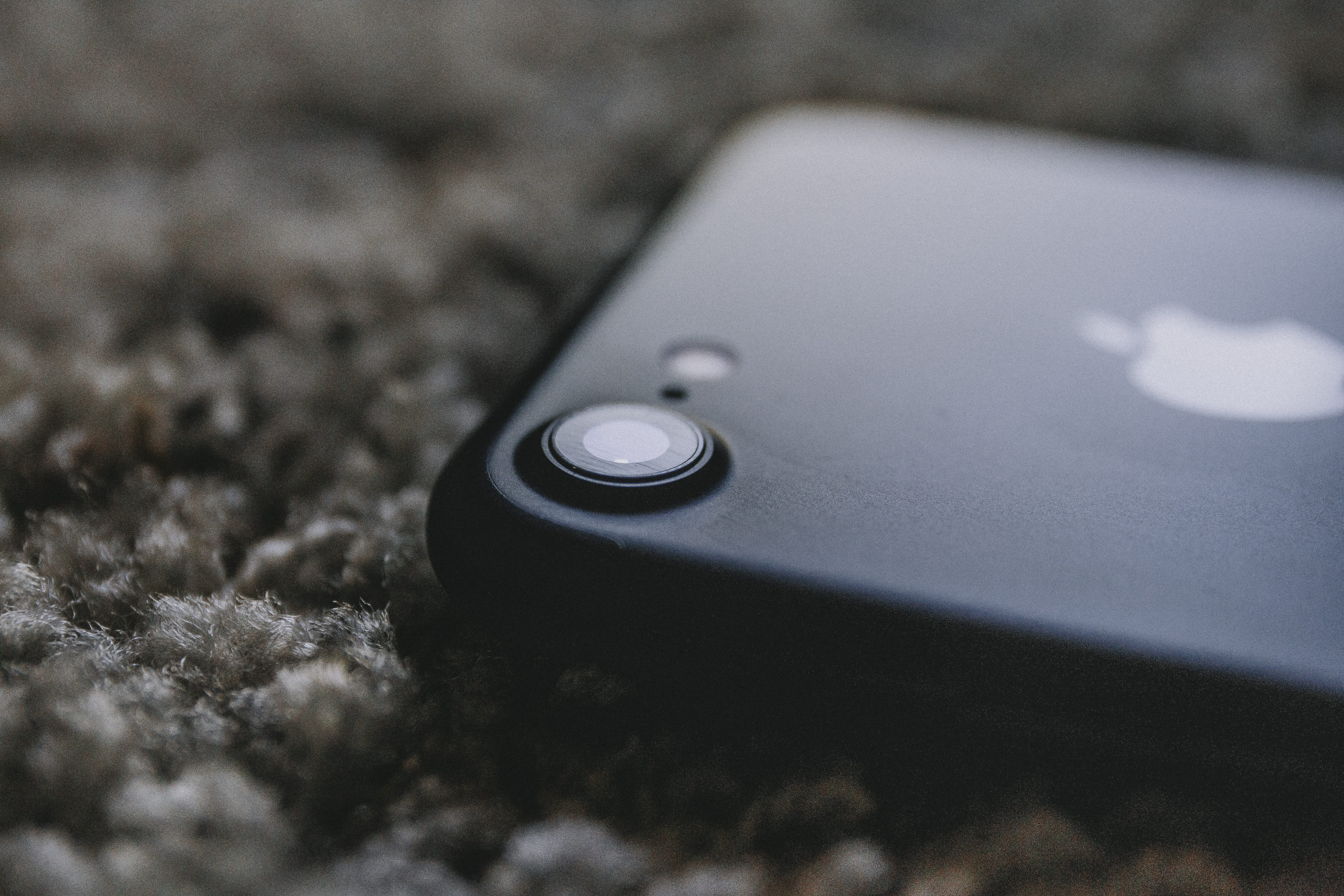 5K, still life, united states, camera, plant, outdoors, selective focus, single object, land, san jose, wireless technology, dof, device, vsco, communication, HD Wallpaper