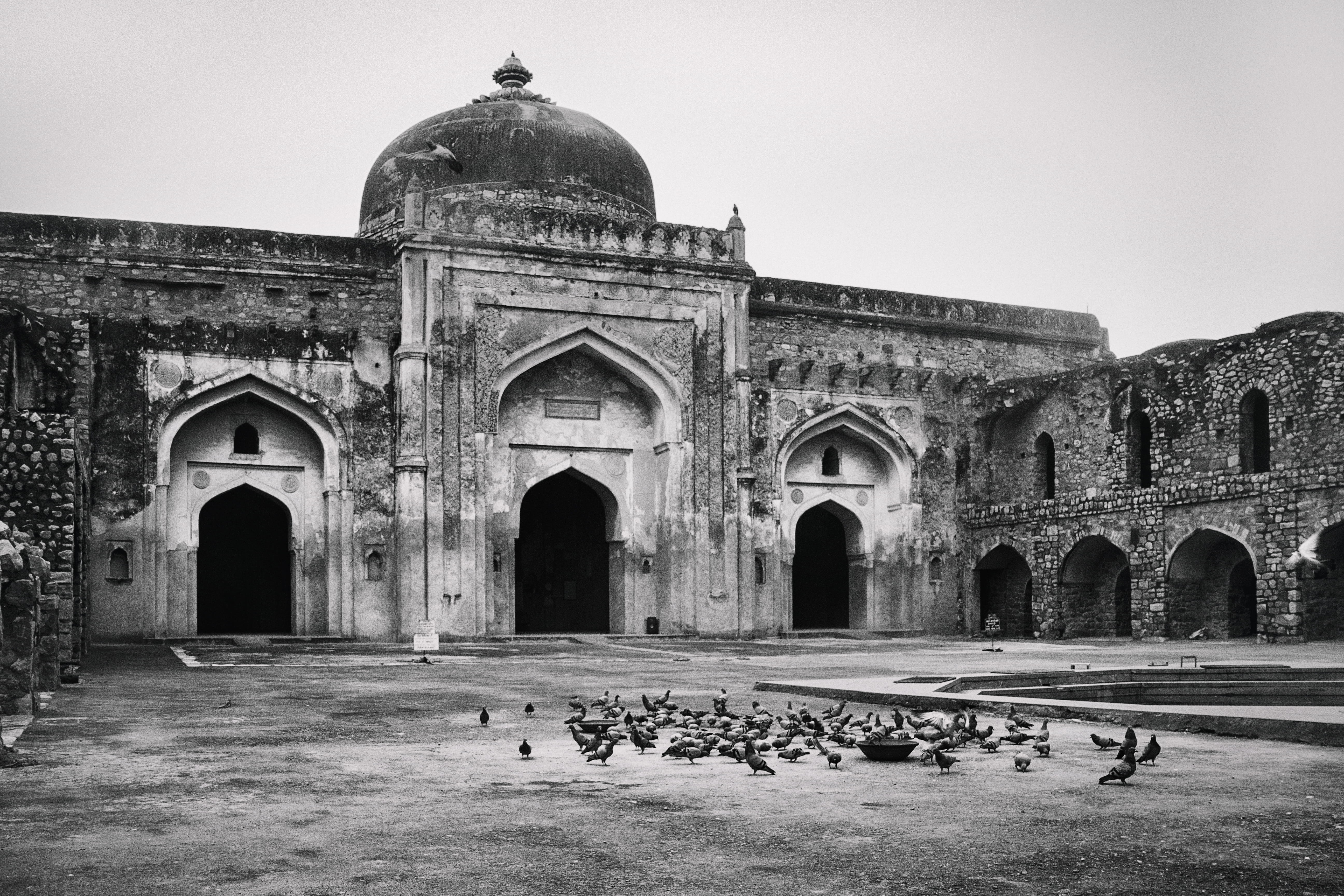 tour, nature, religion, 5K, dome, architectural column, travel, built structure, place, sky, new delhi, outdoor, architecture, ancient civilization, masjid, HD Wallpaper